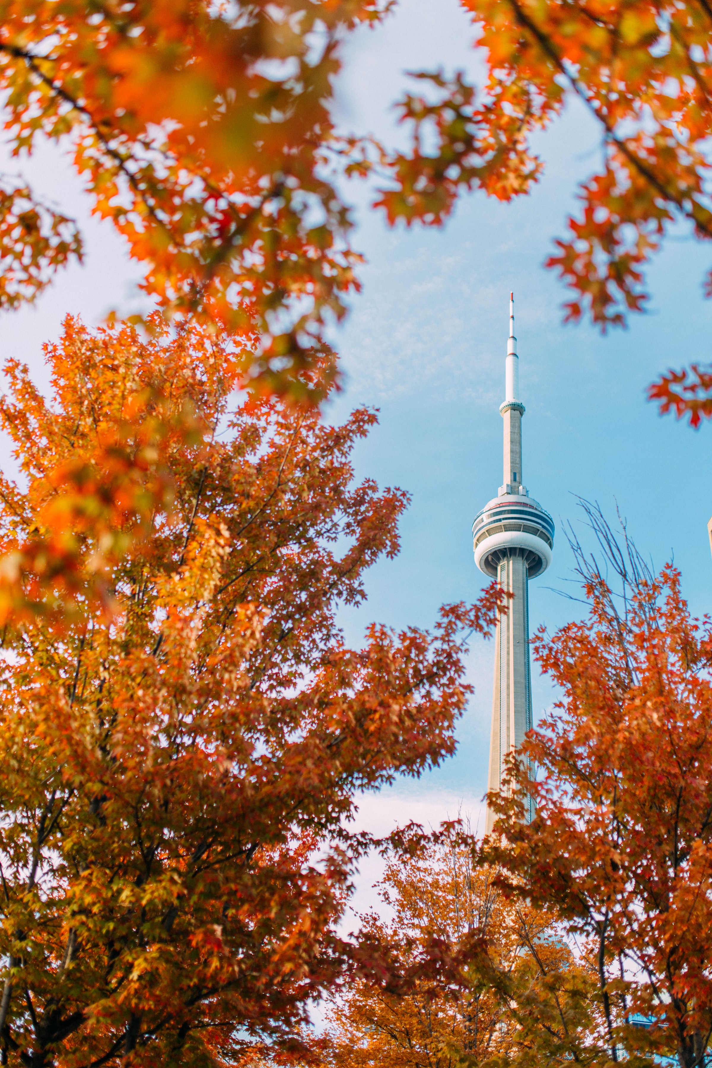 Download mobile wallpaper Tower, Building, Cities, Trees, Autumn for free.