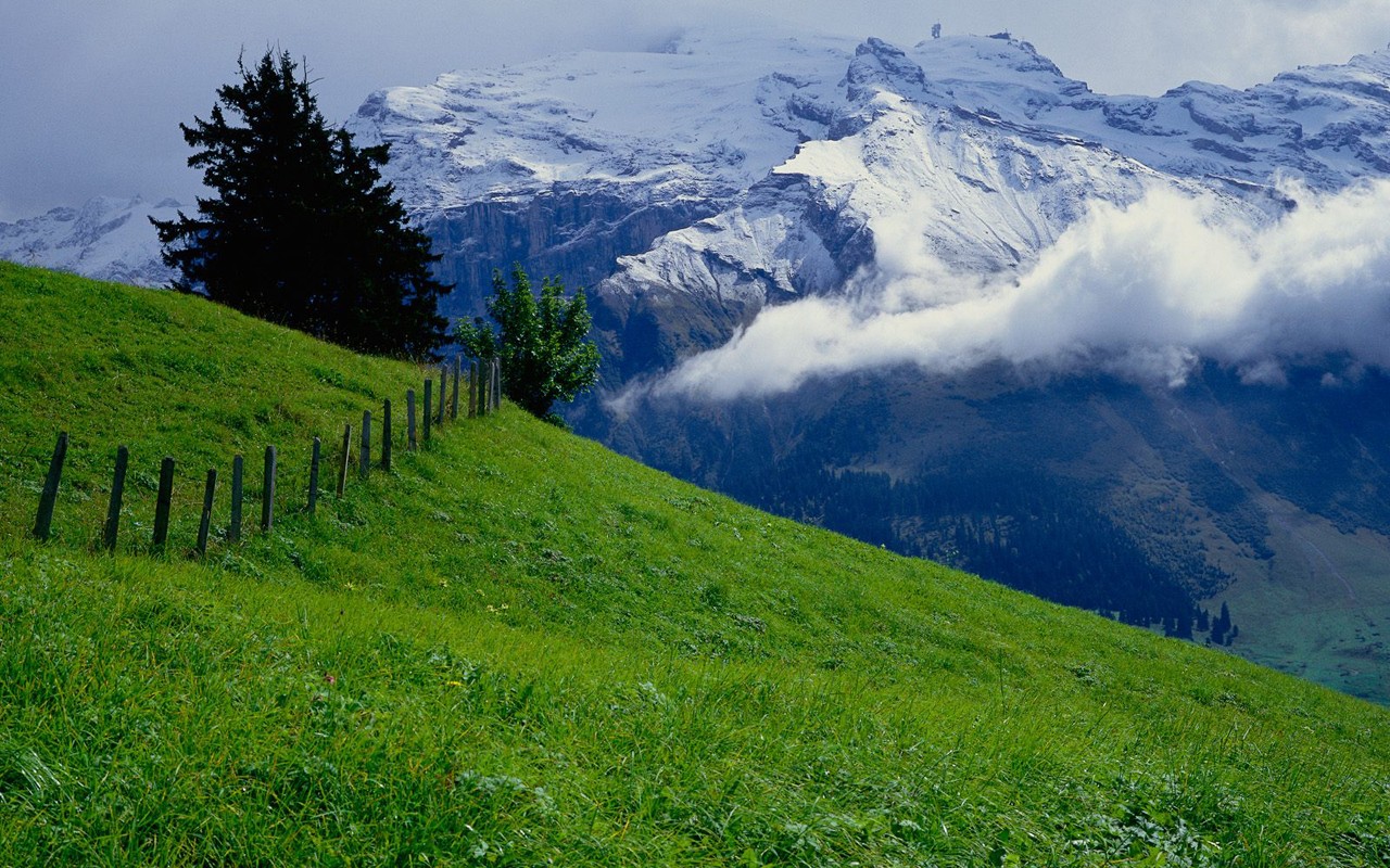 Descarga gratuita de fondo de pantalla para móvil de Paisaje, Campo, Tierra/naturaleza.