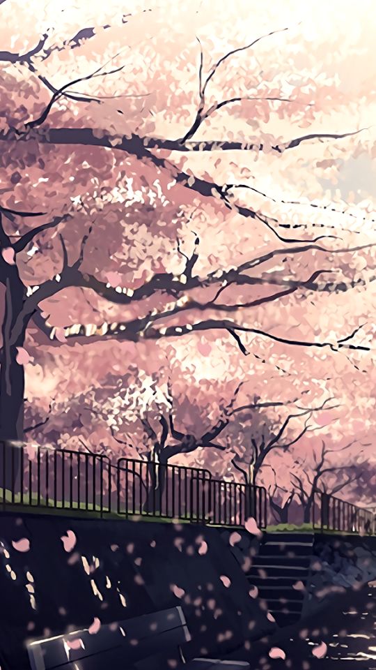 Handy-Wallpaper Blut, Baum, Samurai, Tränen, Katana, Animes, Hakuouki Shinsengumi Kitan, Sakura Blüte kostenlos herunterladen.
