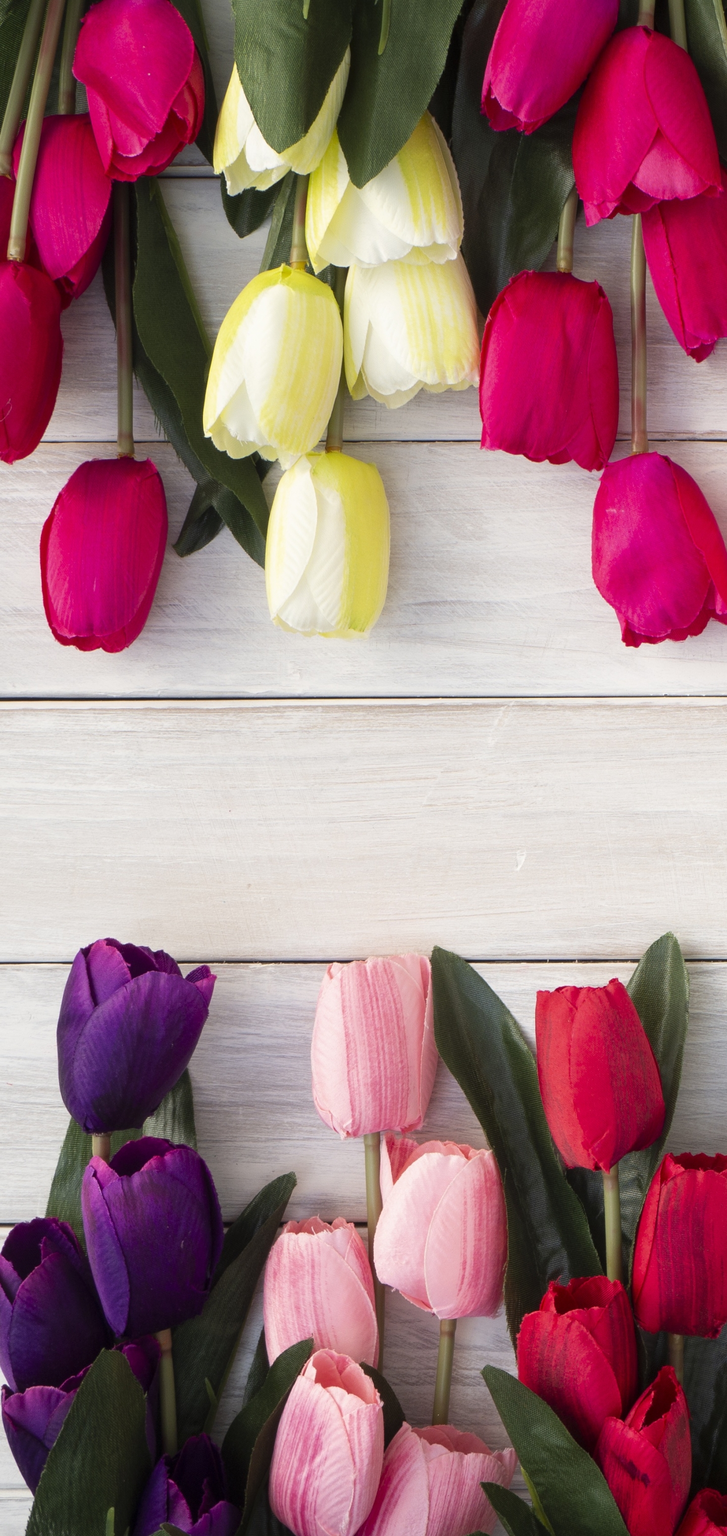 無料モバイル壁紙チューリップ, 花, 赤い花, マンメイド, ピンクの花, 紫色の花をダウンロードします。