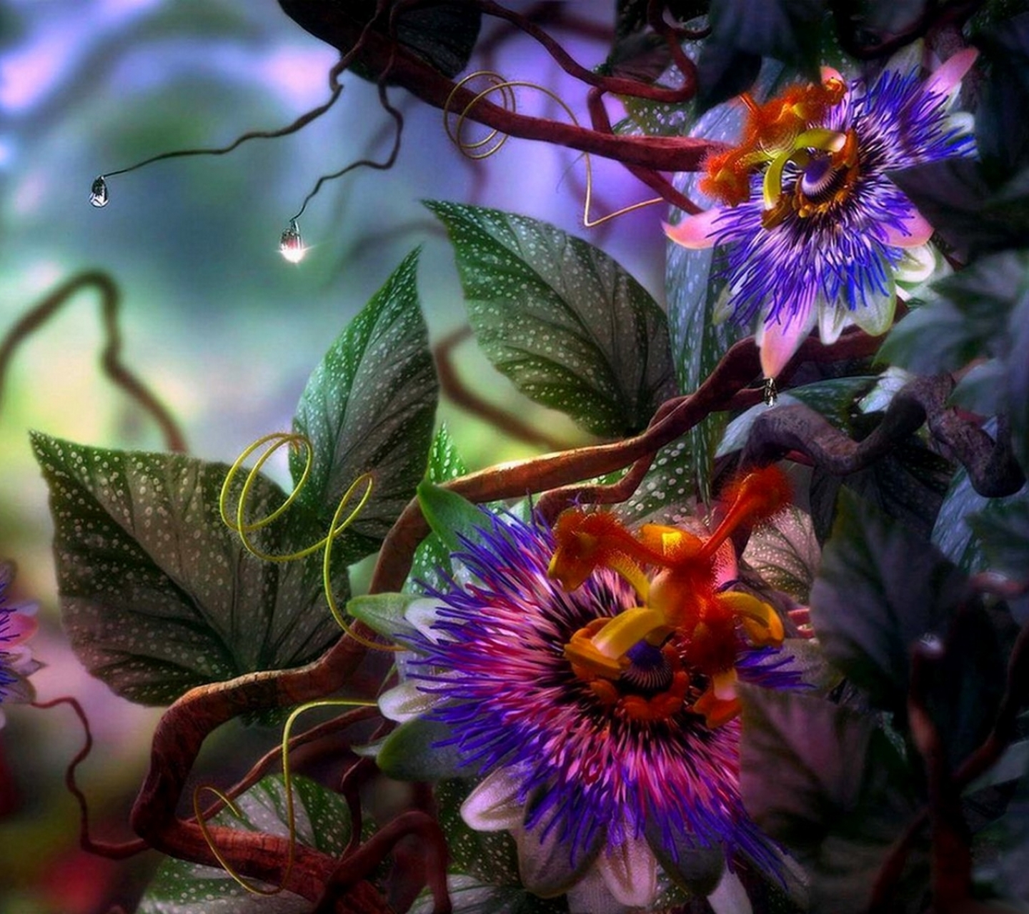 Free download wallpaper Flowers, Flower, Artistic on your PC desktop