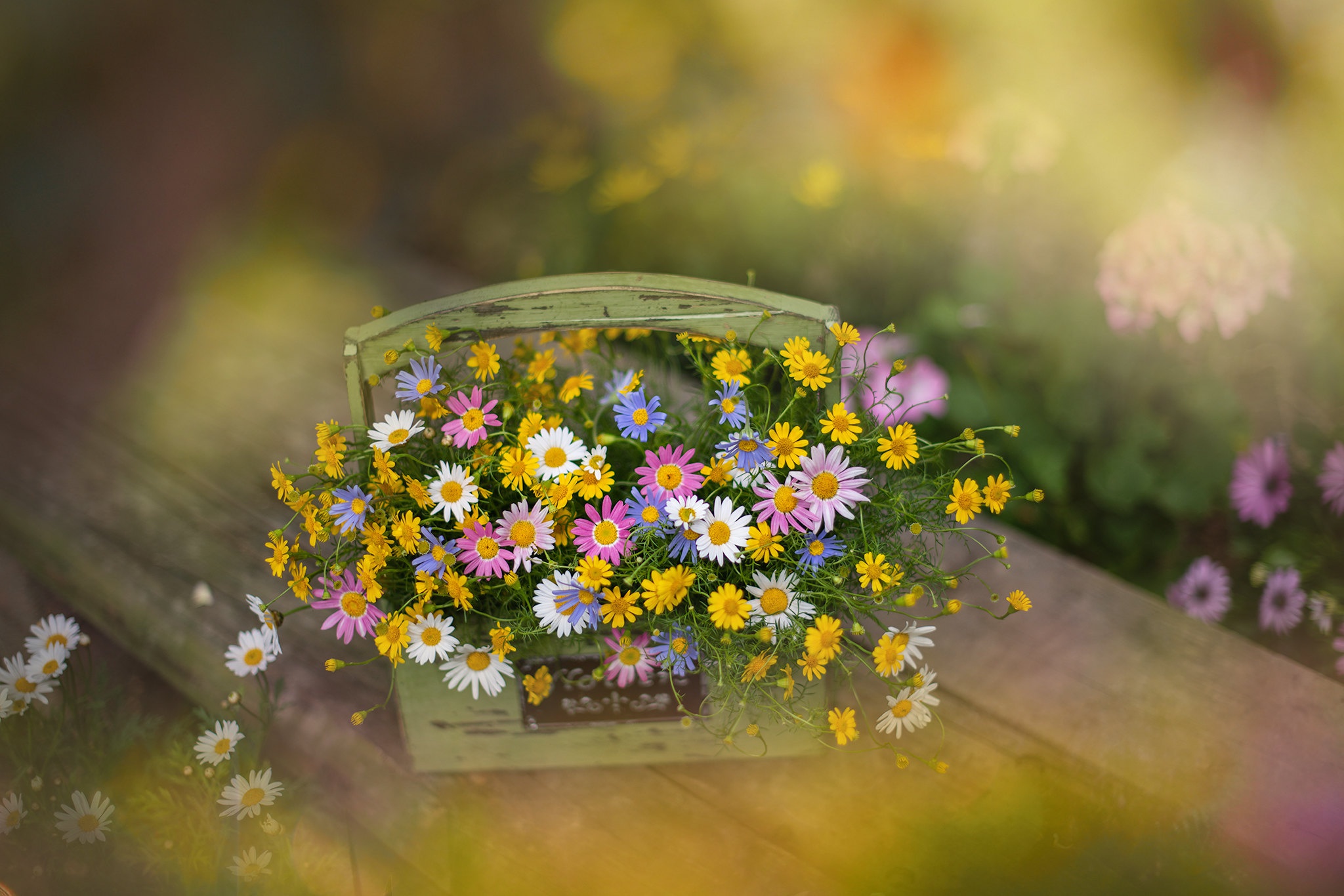Laden Sie das Blume, Strauß, Verwischen, Menschengemacht, Wildblume-Bild kostenlos auf Ihren PC-Desktop herunter