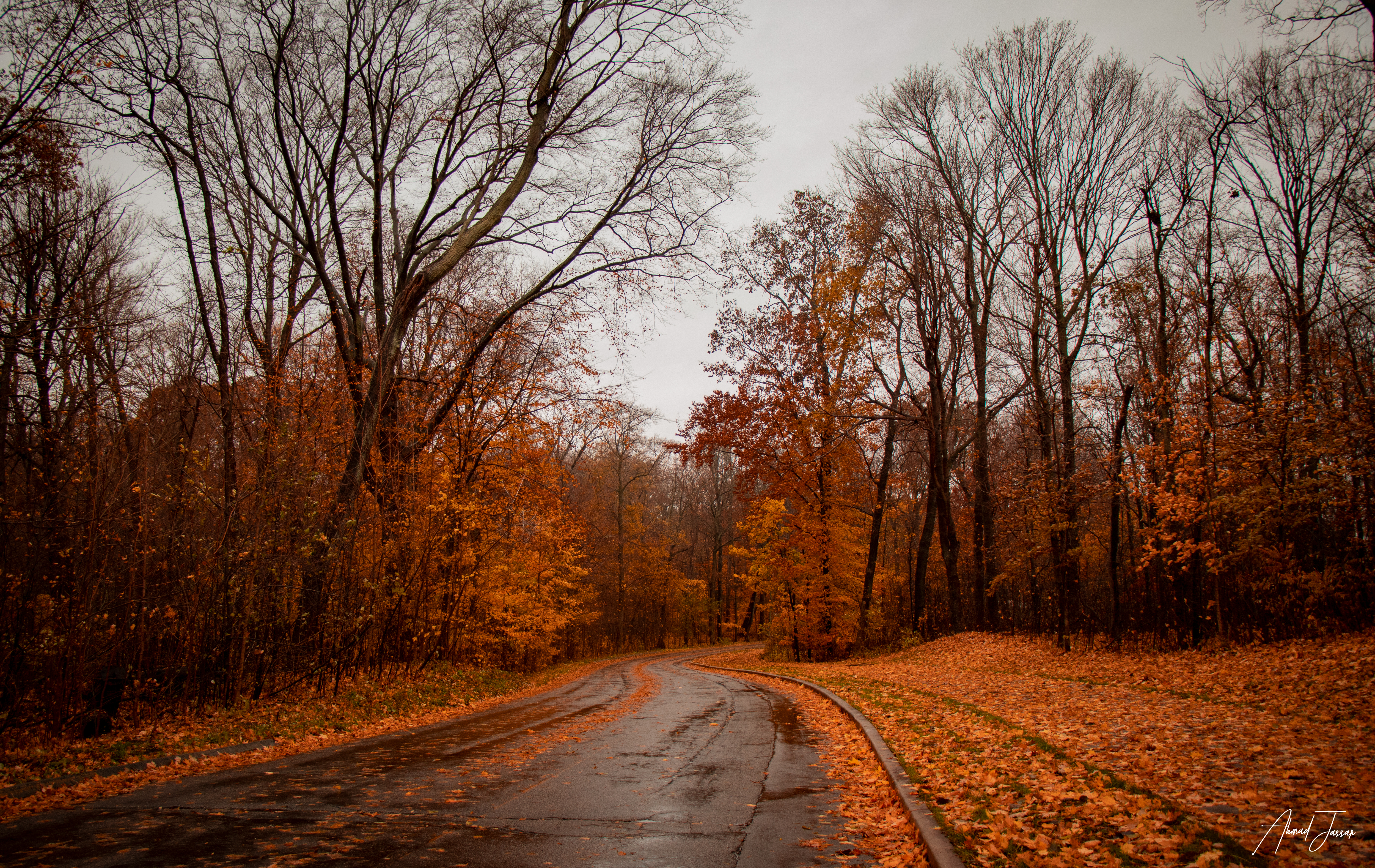 Free download wallpaper Autumn, Nature, Trees, Road on your PC desktop