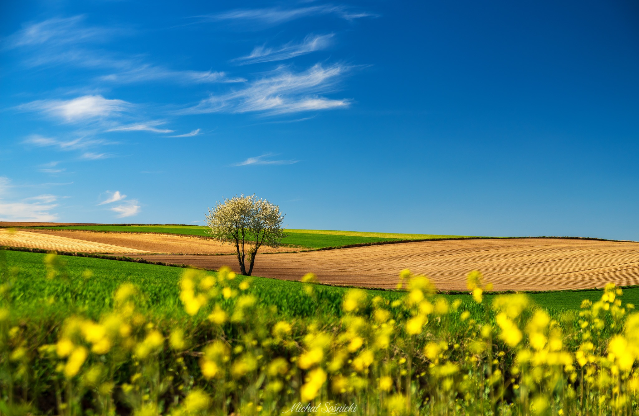 Descarga gratuita de fondo de pantalla para móvil de Naturaleza, Cielo, Verano, Campo, Tierra/naturaleza.