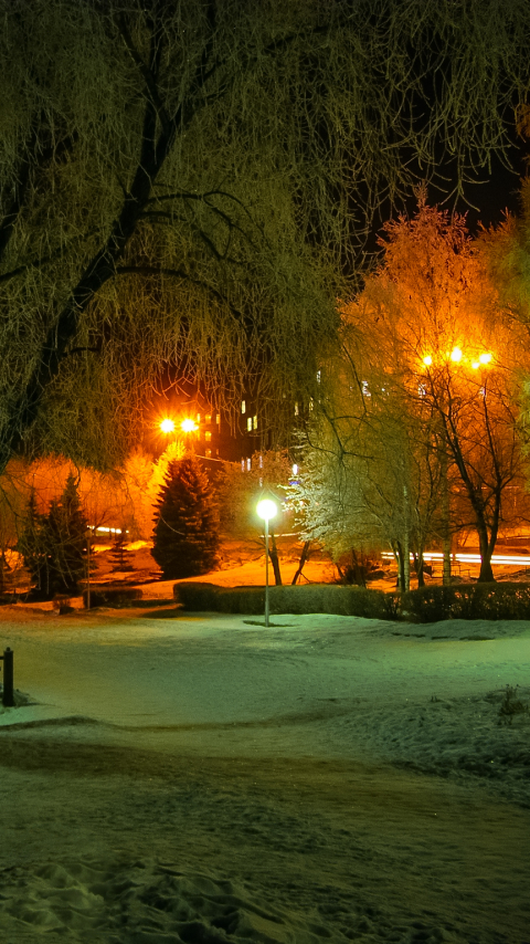 Download mobile wallpaper Winter, Night, Light, Park, Tree, Earth, Photography for free.