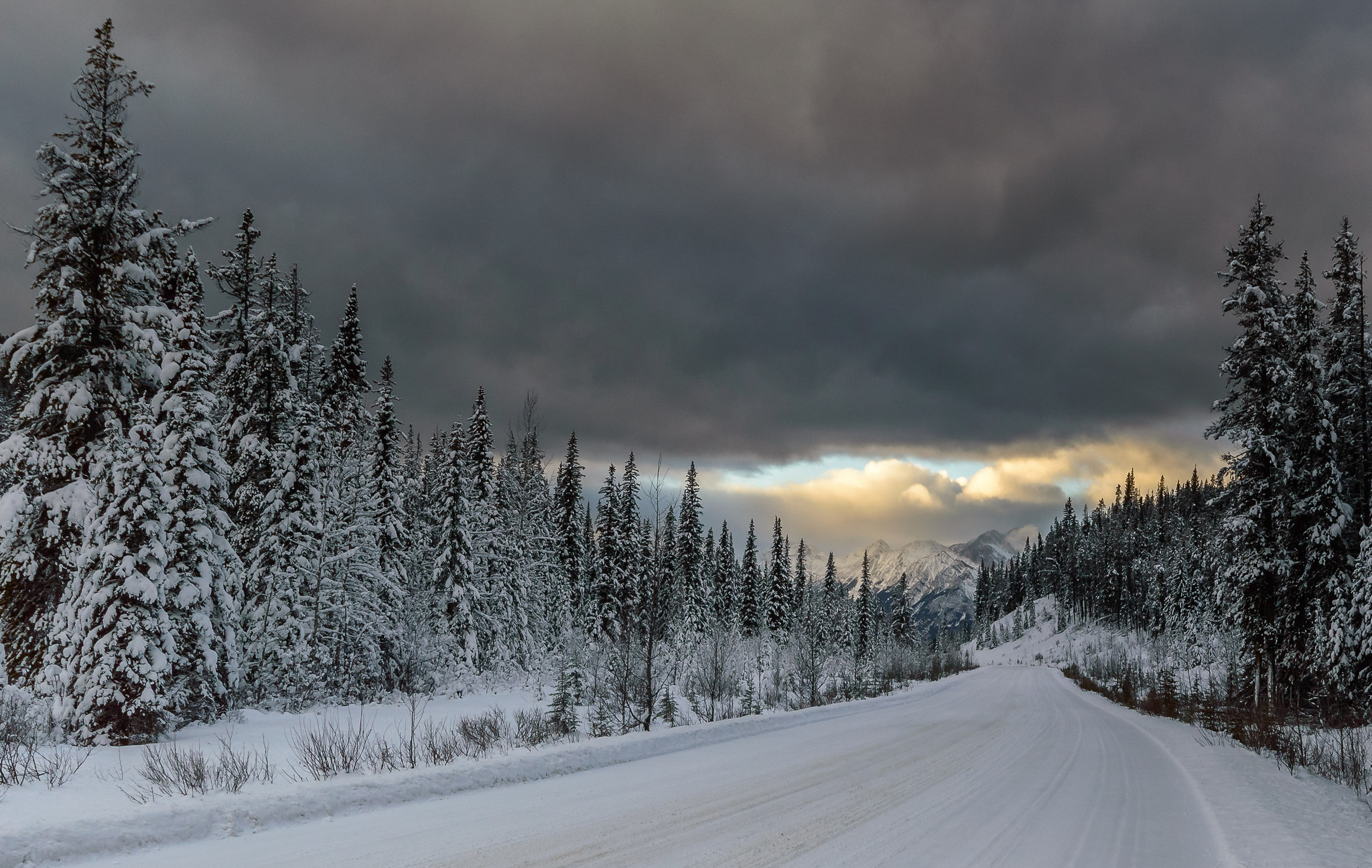 Descarga gratis la imagen Invierno, Cielo, Nieve, Árbol, Nube, Carretera, Tierra/naturaleza en el escritorio de tu PC