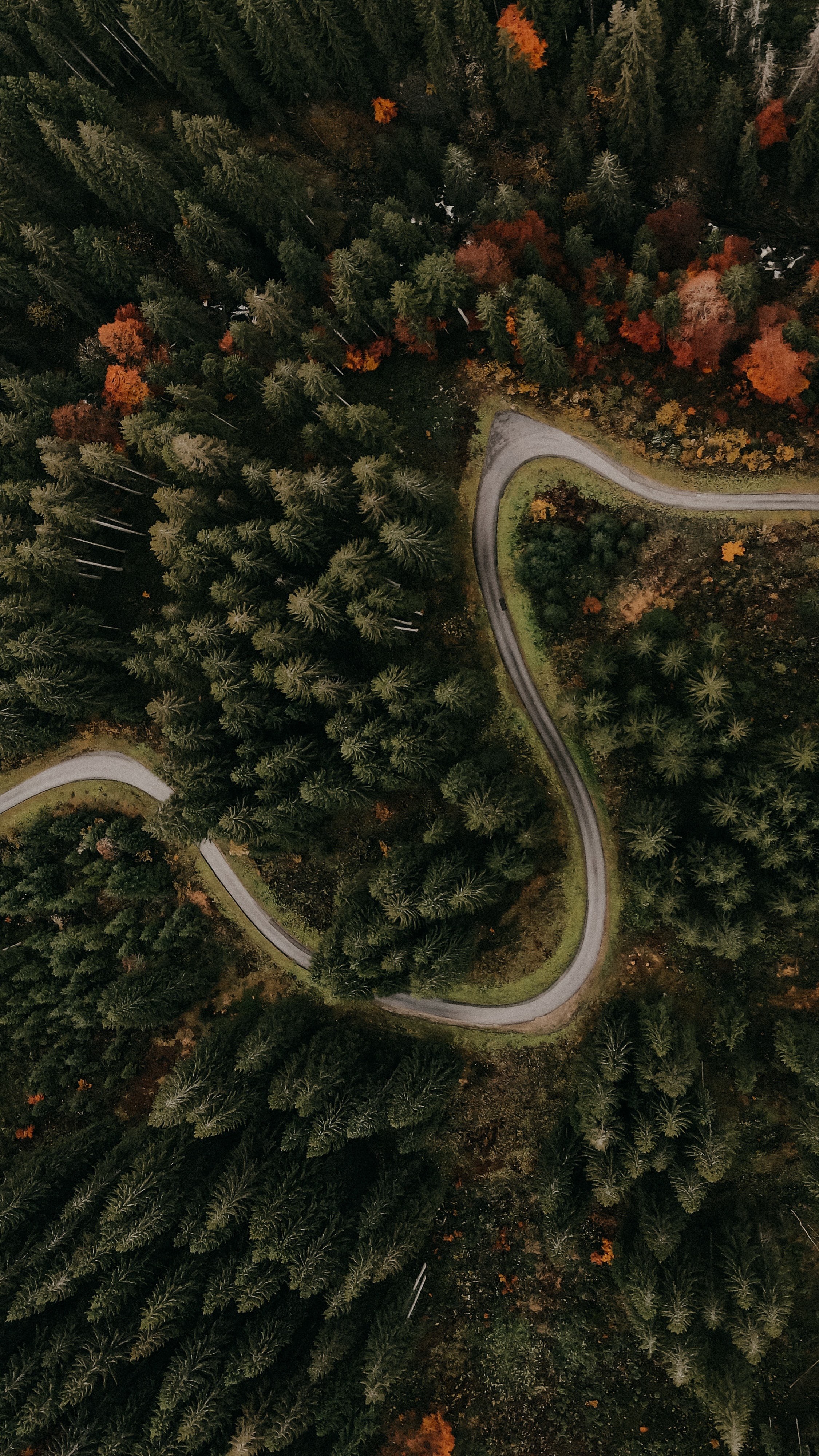 Free download wallpaper Nature, Trees, View From Above, Road, Forest, Turn on your PC desktop