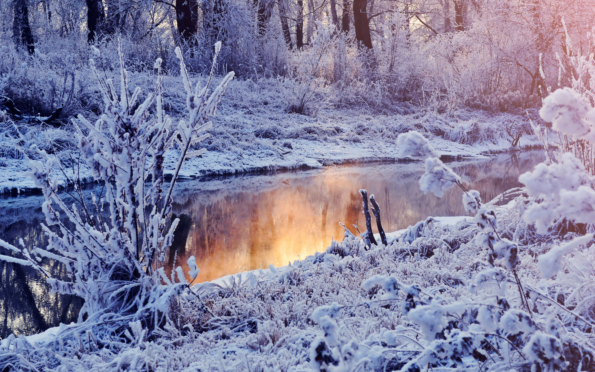 Baixar papel de parede para celular de Inverno, Terra/natureza gratuito.