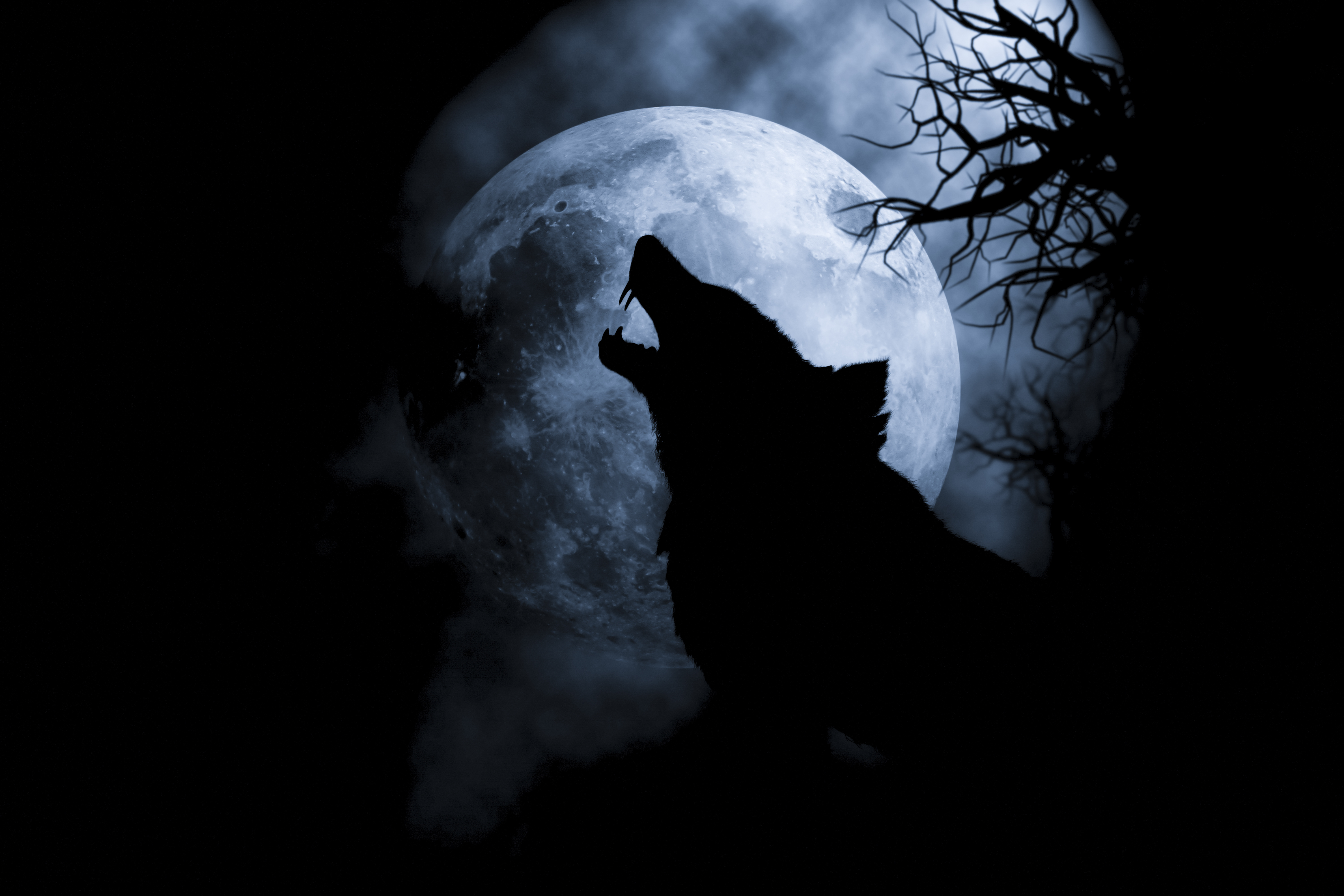 Download mobile wallpaper Fantasy, Wolf, Fantasy Animals for free.