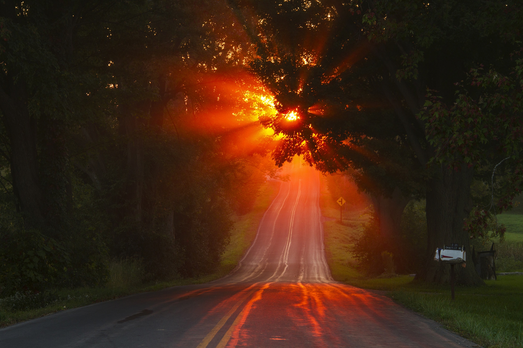 Free download wallpaper Sunset, Road, Tree, Sunbeam, Man Made on your PC desktop