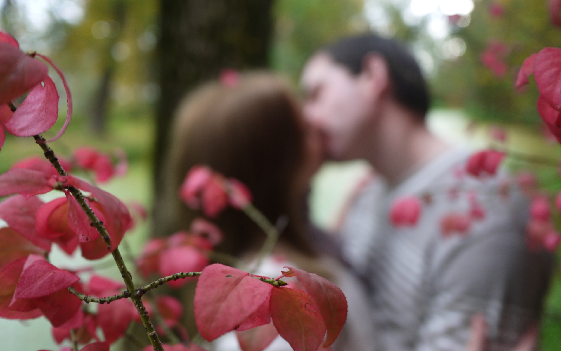 Free download wallpaper Valentine's Day, Love, Photography, Romantic on your PC desktop