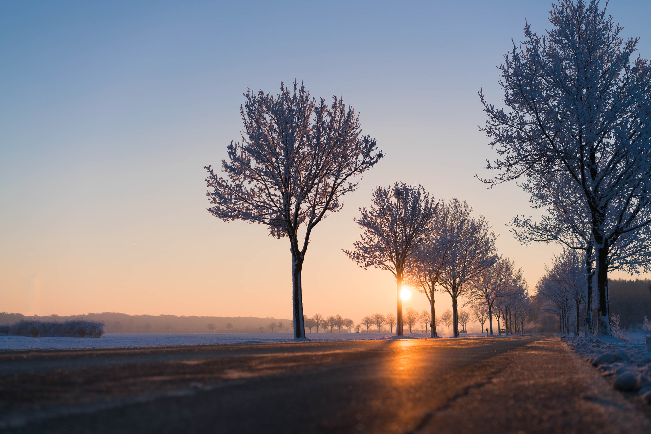 Free download wallpaper Winter, Nature, Road, Tree, Sunrise, Earth, Tree Lined on your PC desktop