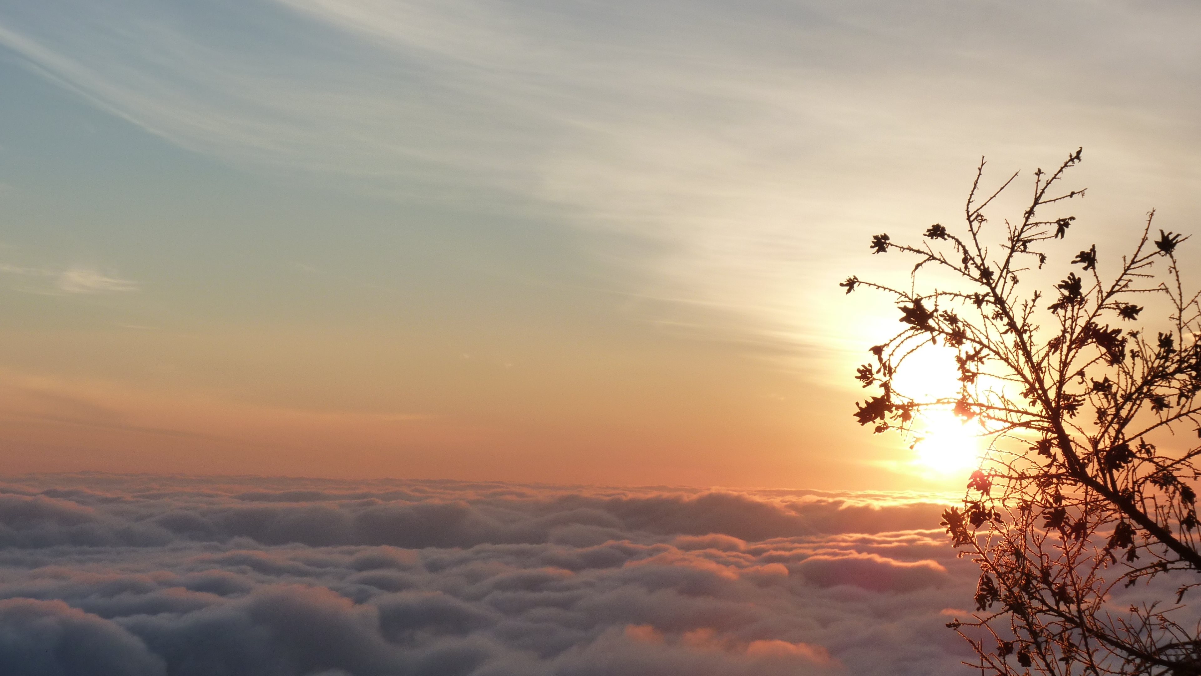 Laden Sie das Sonnenaufgang, Erde/natur-Bild kostenlos auf Ihren PC-Desktop herunter