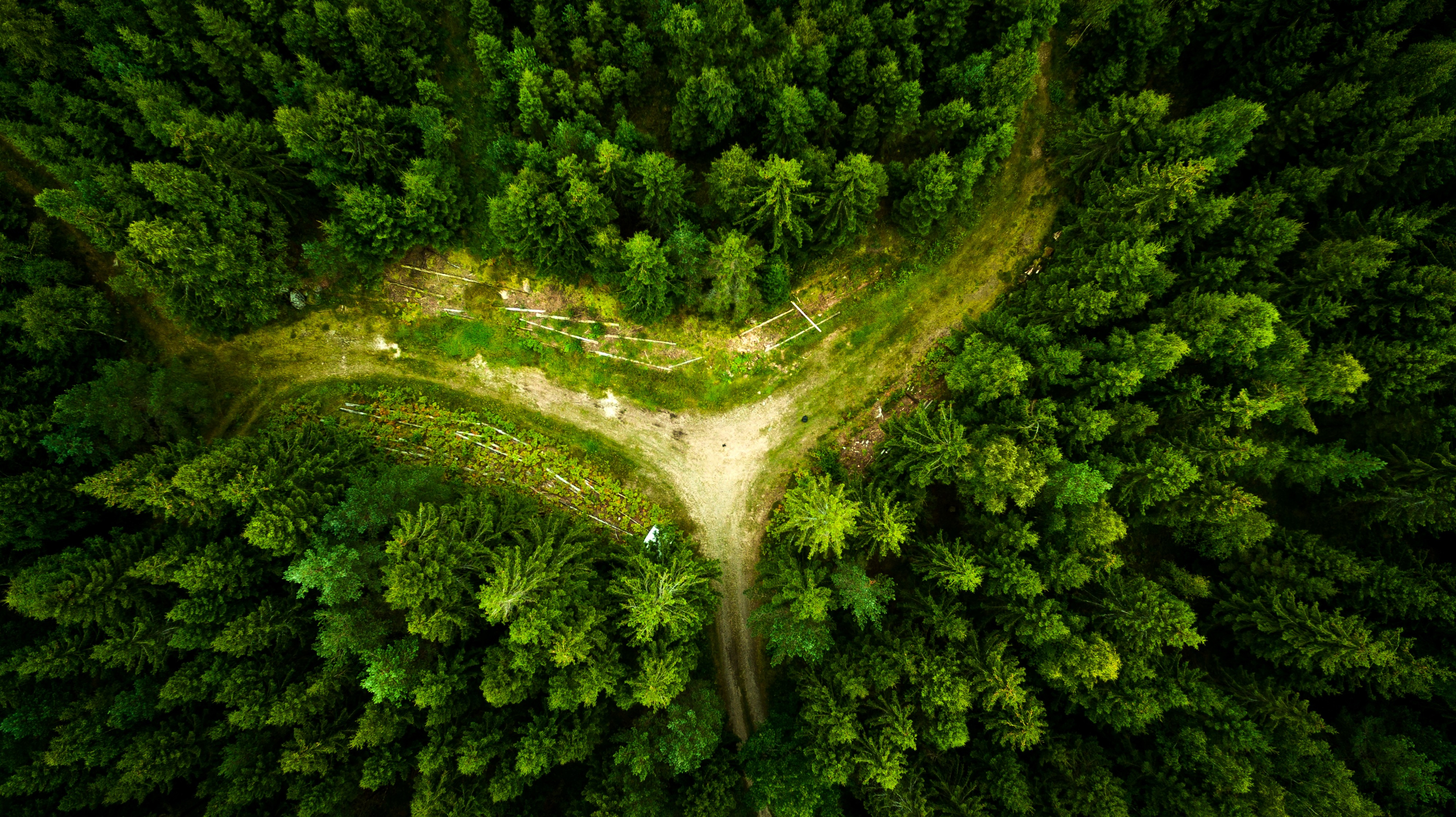 Téléchargez gratuitement l'image Forêt, Arbre, Chemin, Aérien, Terre/nature sur le bureau de votre PC