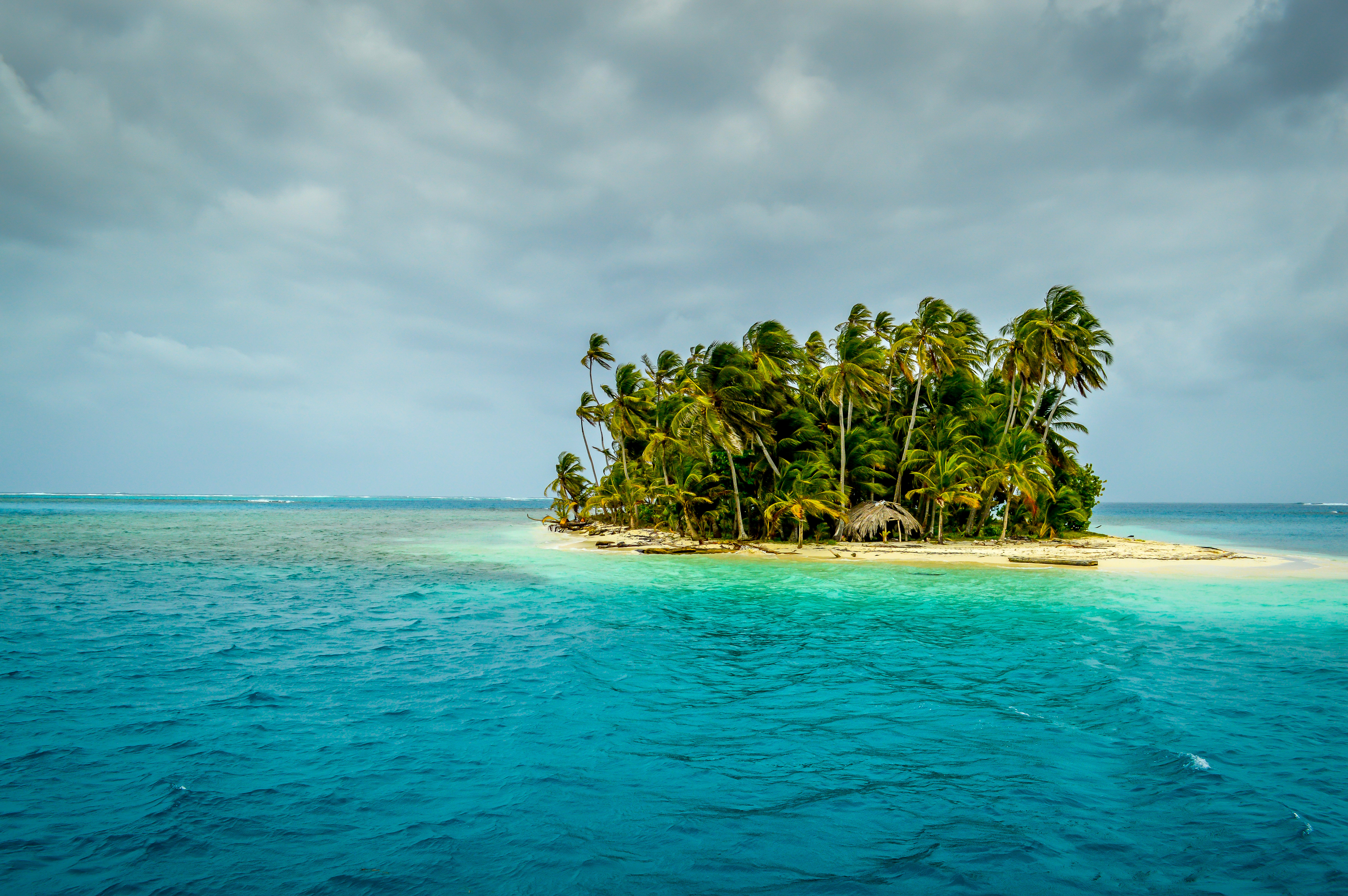 Free download wallpaper Sea, Horizon, Ocean, Earth, Island, Tropical, Palm Tree on your PC desktop