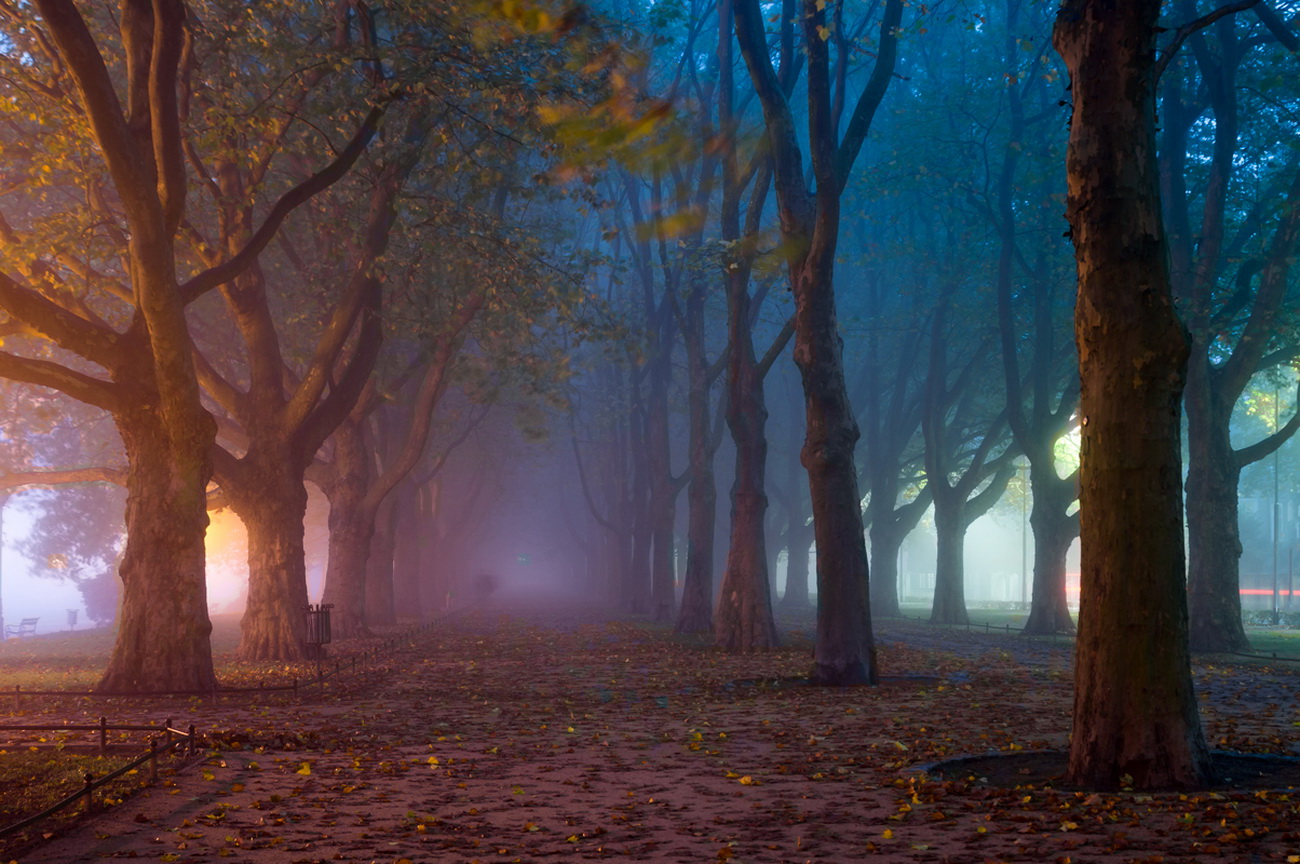 Descarga gratuita de fondo de pantalla para móvil de Parque, Fotografía.