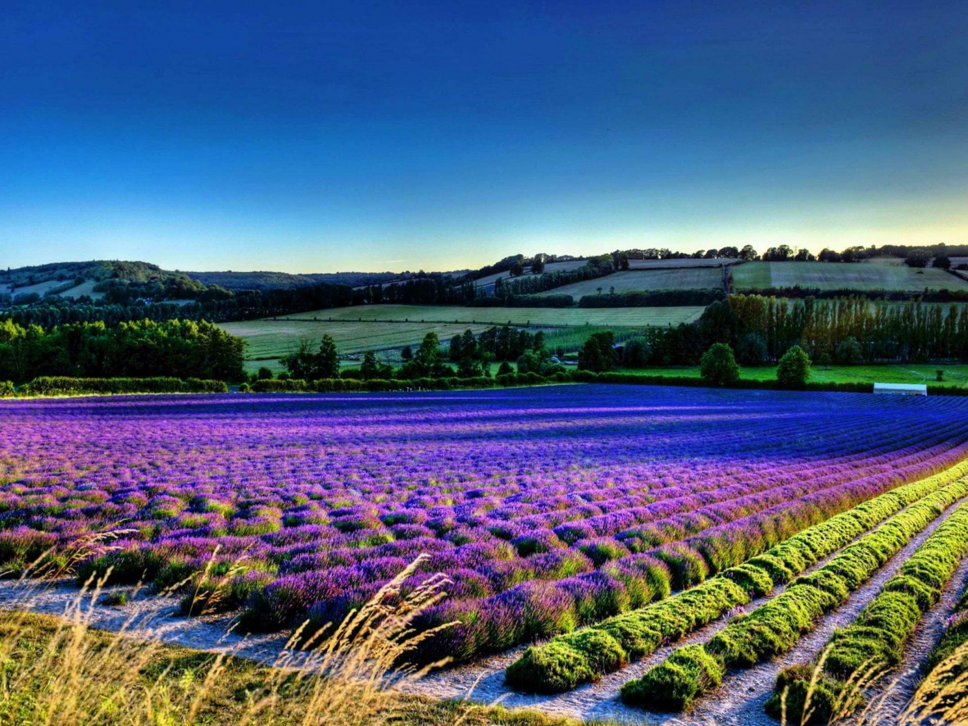 fields, landscape Full HD