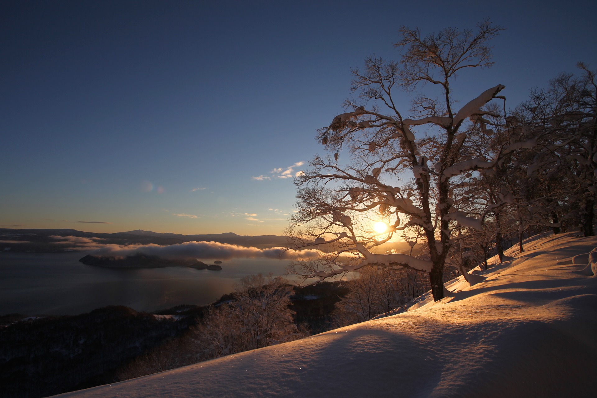 PCデスクトップに冬, 自然, 木, 雪, 日の出, 地球, クラウド画像を無料でダウンロード