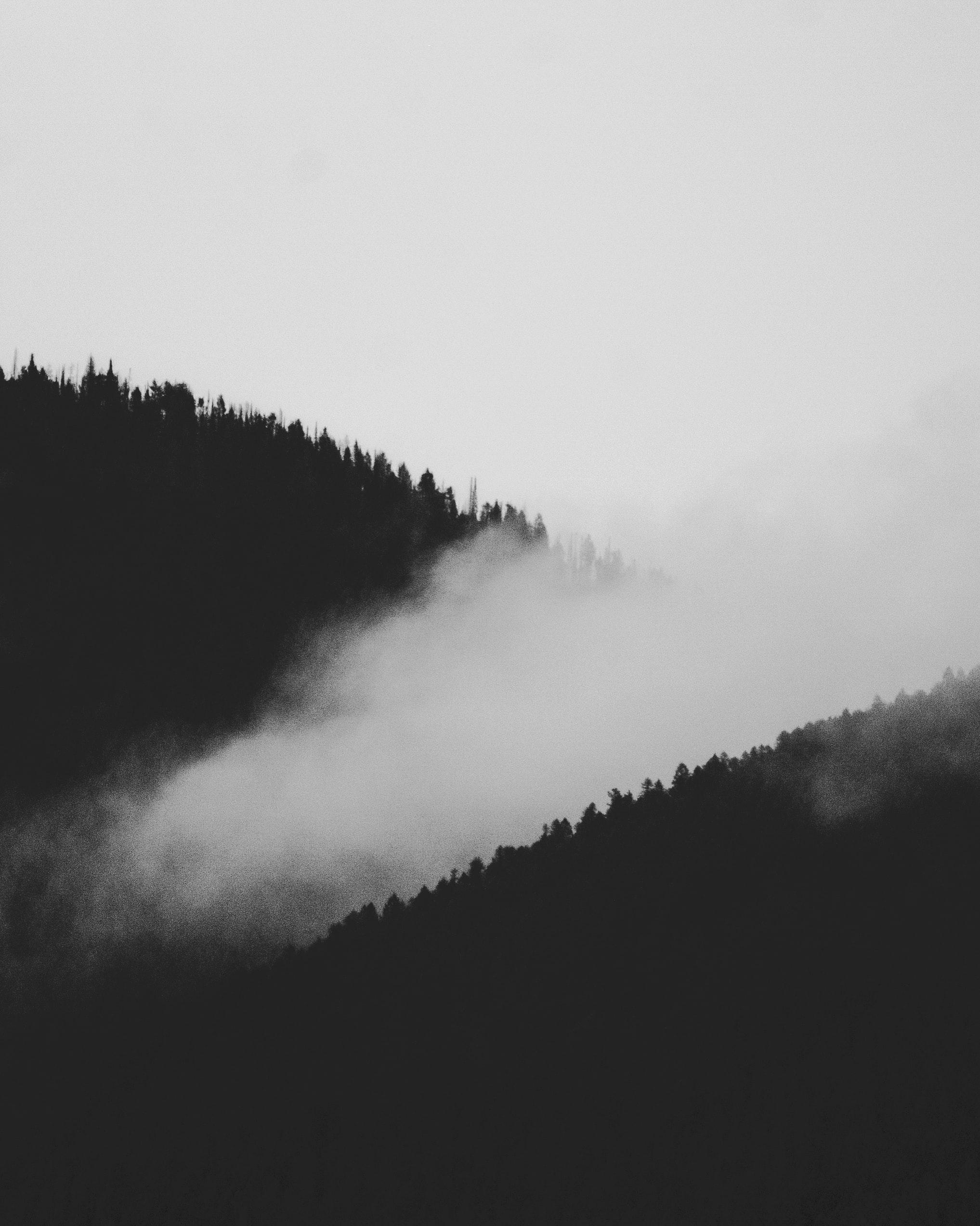 Free download wallpaper Trees, Fog, Slope, Nature, Forest, Bw, Chb on your PC desktop