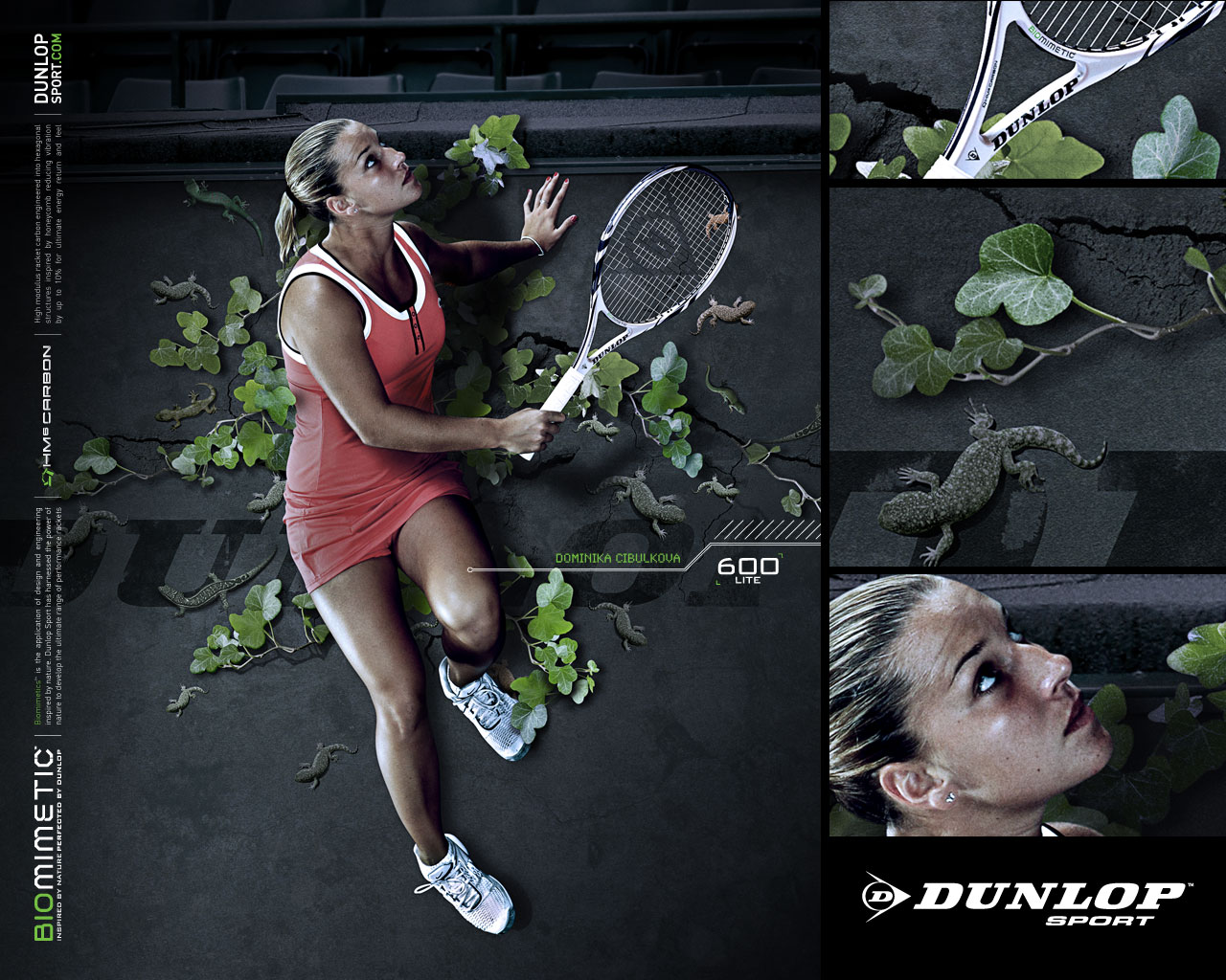 Descarga gratuita de fondo de pantalla para móvil de Deporte, Dominika Cibulkova.