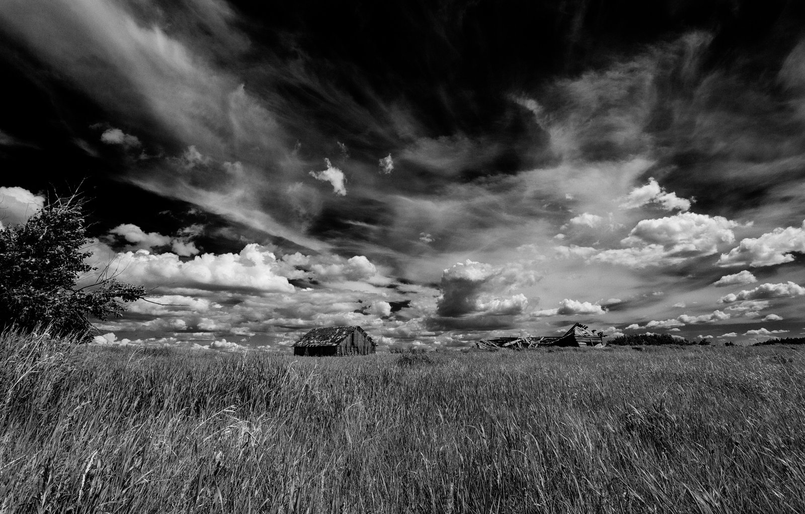 Descarga gratuita de fondo de pantalla para móvil de Blanco Y Negro, Fotografía.