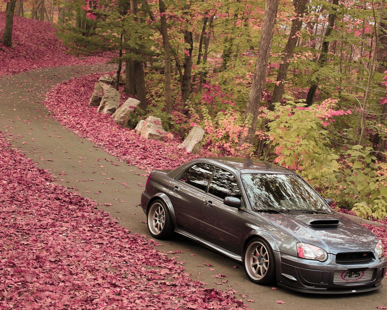 Handy-Wallpaper Transport, Roads, Auto, Subaru, Blätter, Herbst kostenlos herunterladen.