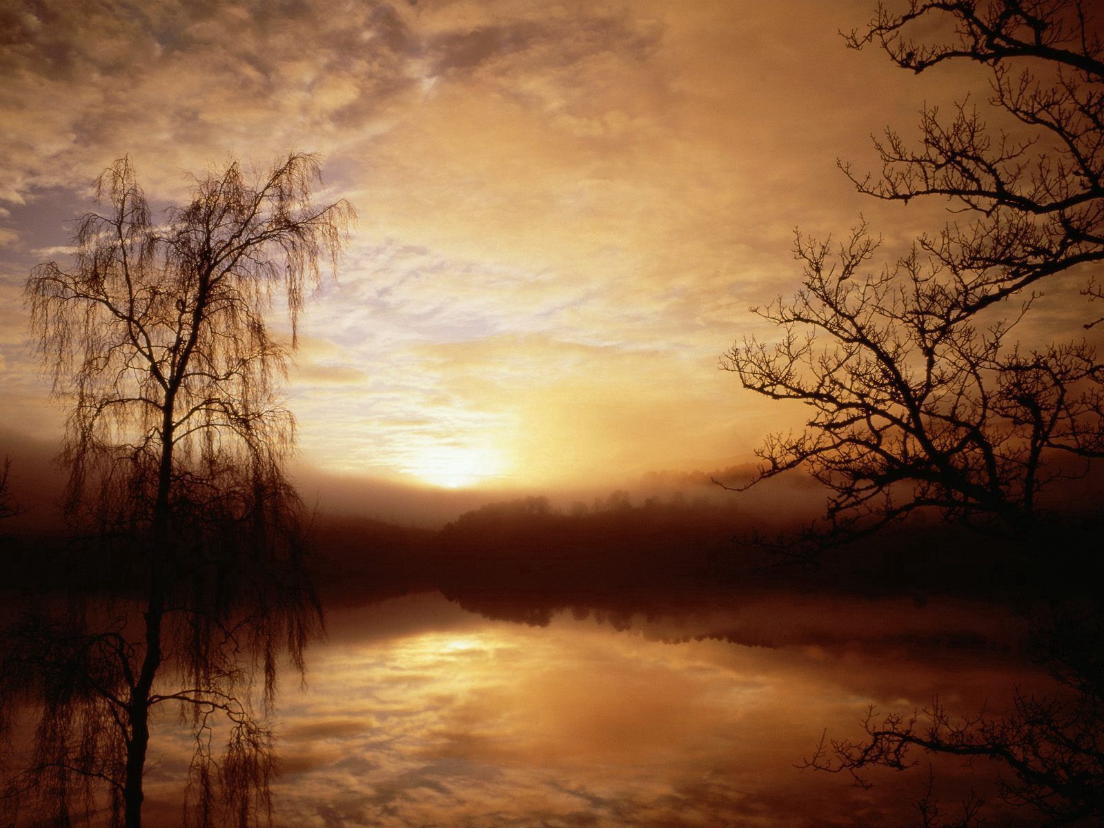 lake, nature, trees, dawn, fog, morning, outlines
