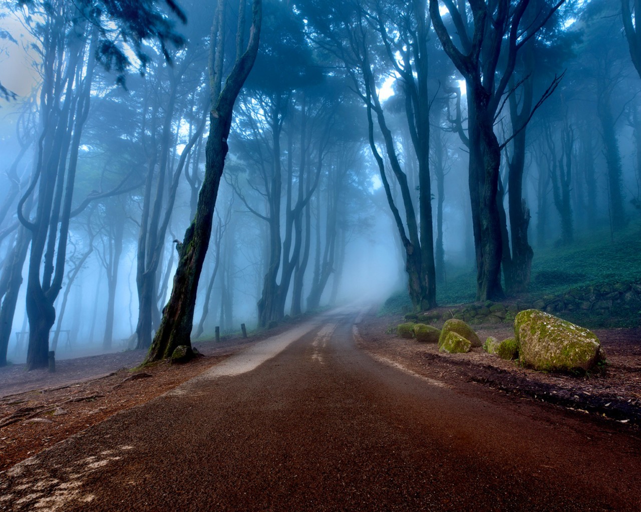 Baixar papel de parede para celular de Terra/natureza, Neblina gratuito.