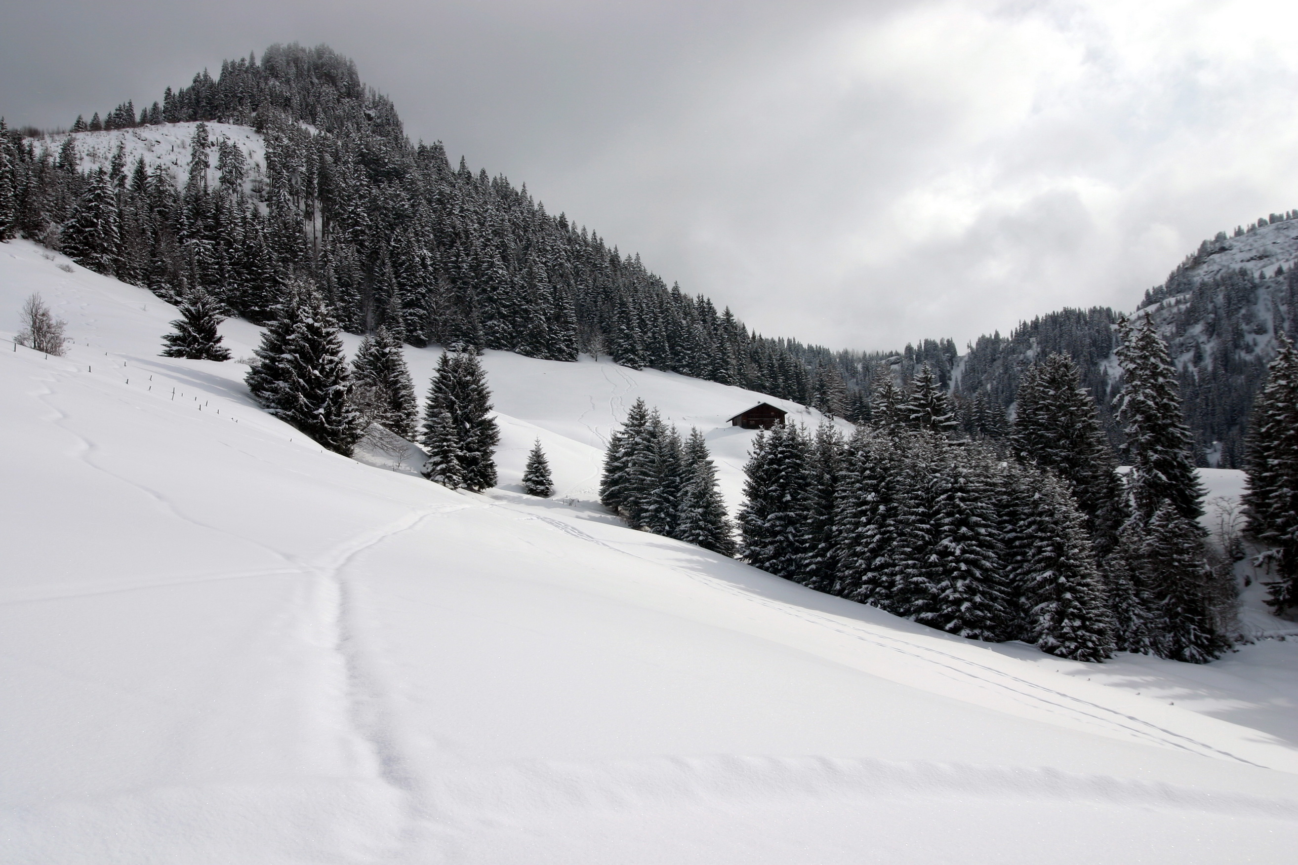 Handy-Wallpaper Winter, Erde/natur kostenlos herunterladen.