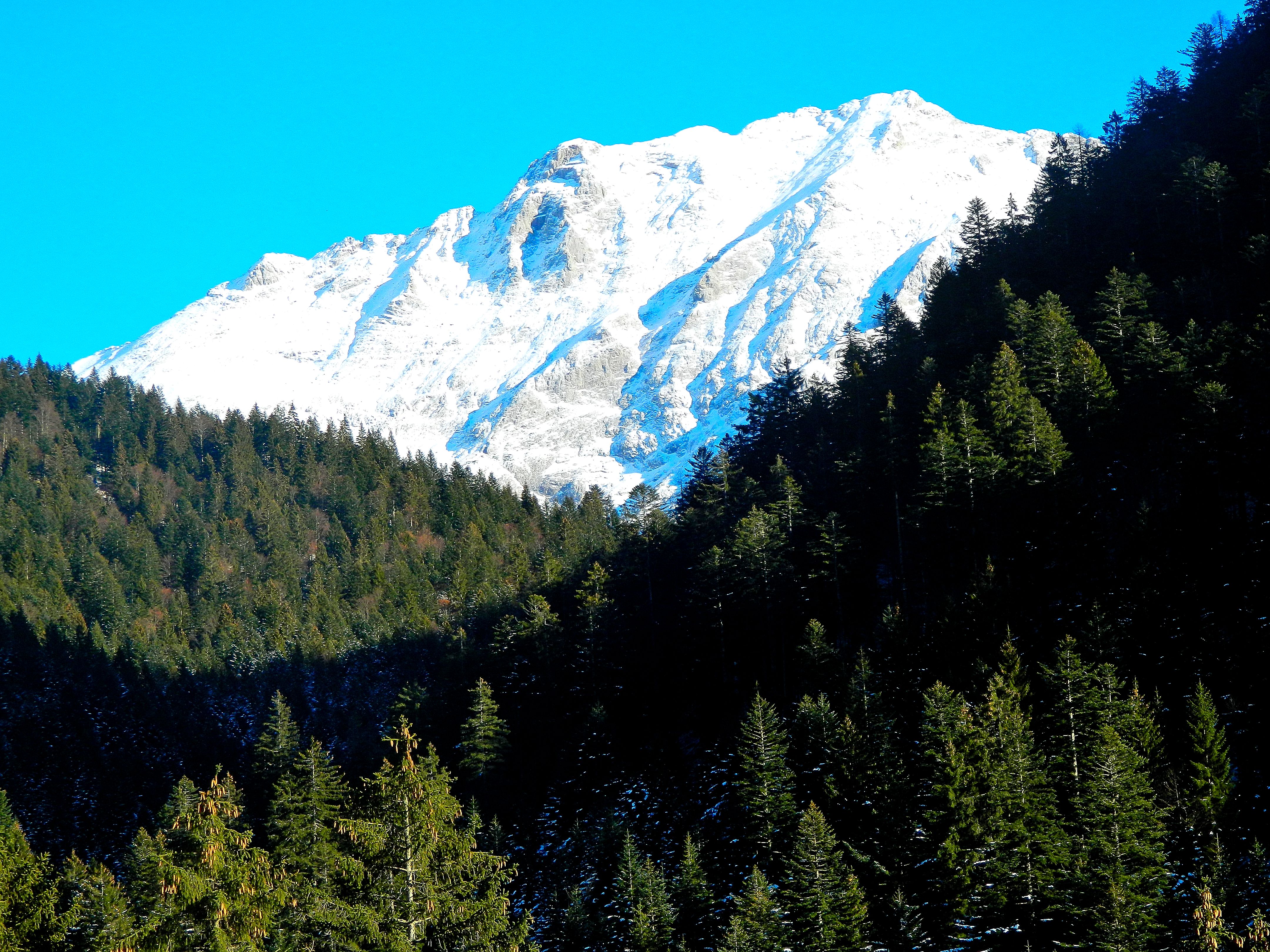 Laden Sie das Natur, Fotografie-Bild kostenlos auf Ihren PC-Desktop herunter