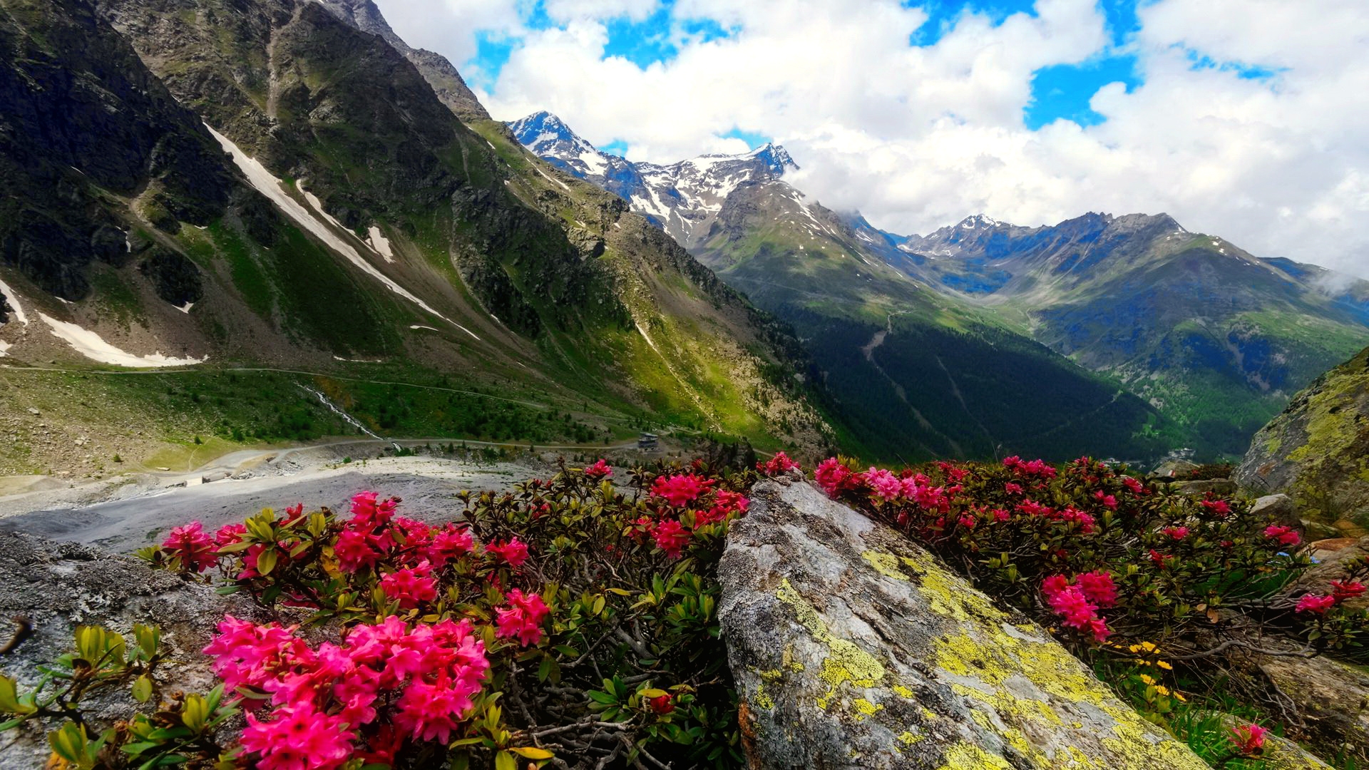 Free download wallpaper Landscape, Mountain, Flower, Road, Photography on your PC desktop