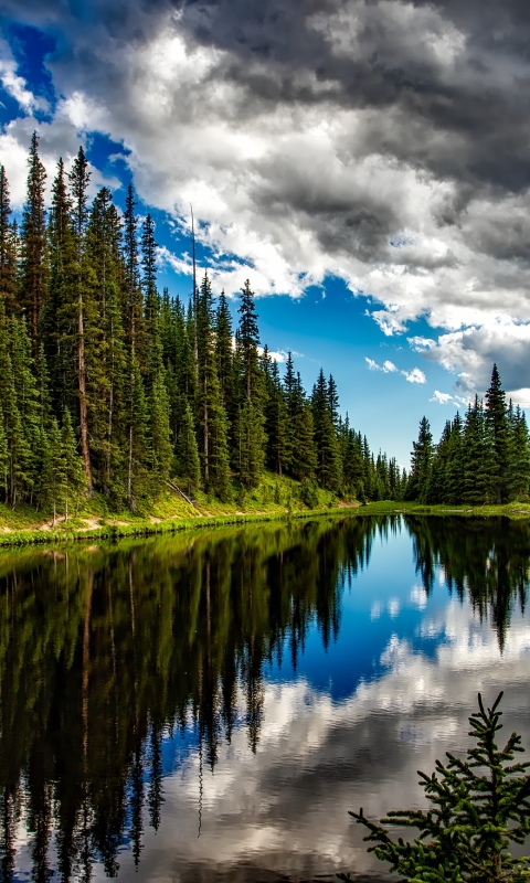 Скачать картинку Природа, Облака, Озера, Озеро, Отражение, Лес, Дерево, Национальный Парк, Облако, Колорадо, Земля/природа в телефон бесплатно.