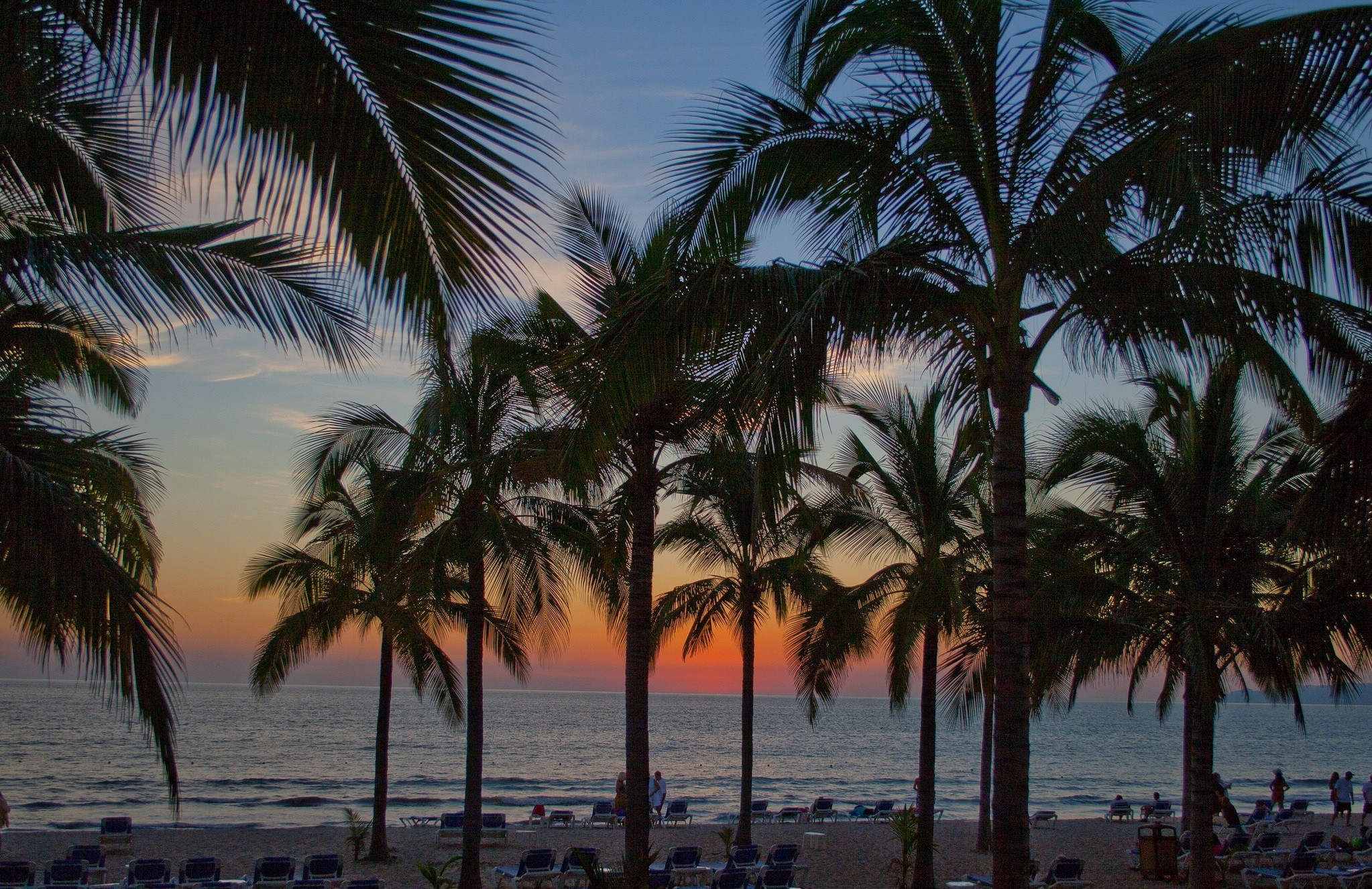 Free download wallpaper Sunset, Sea, Beach, Earth, Tropics, Palm Tree on your PC desktop