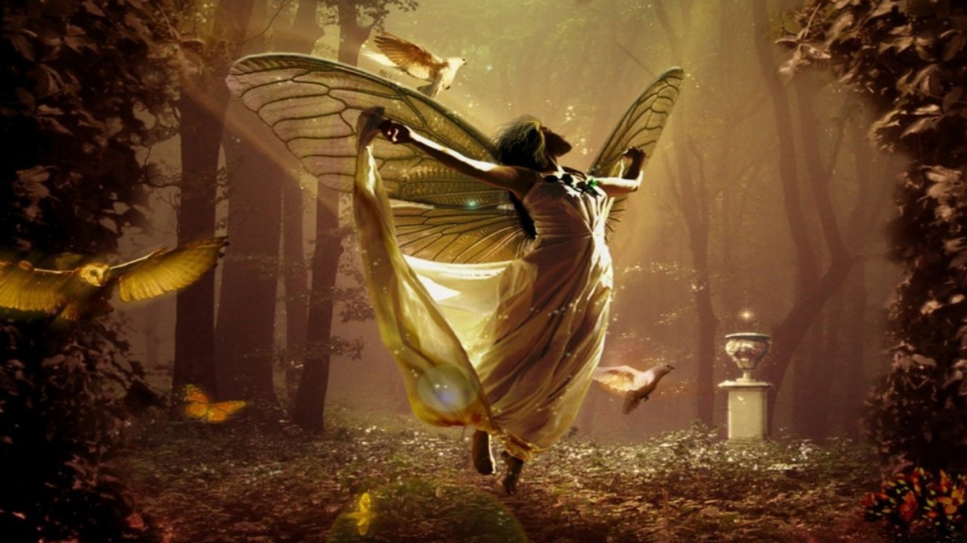 Free download wallpaper Fantasy, Forest, Fairy on your PC desktop