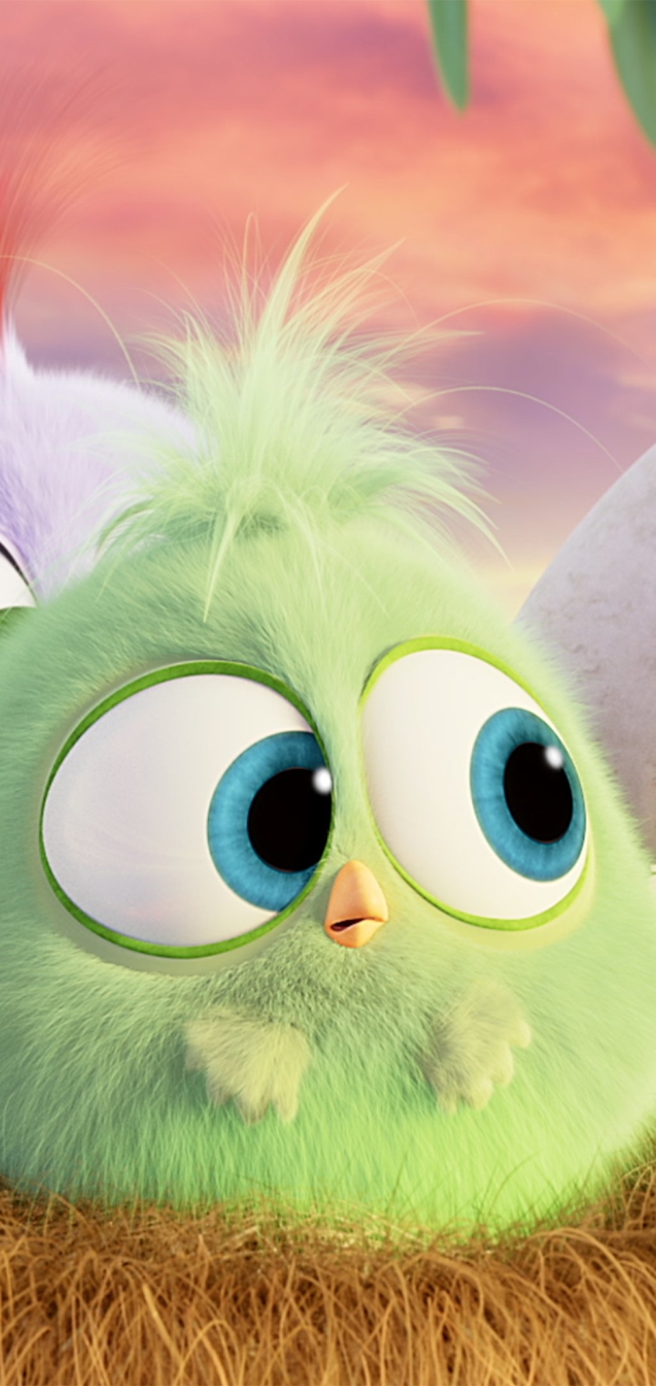 the angry birds movie, movie, angry birds wallpaper for mobile