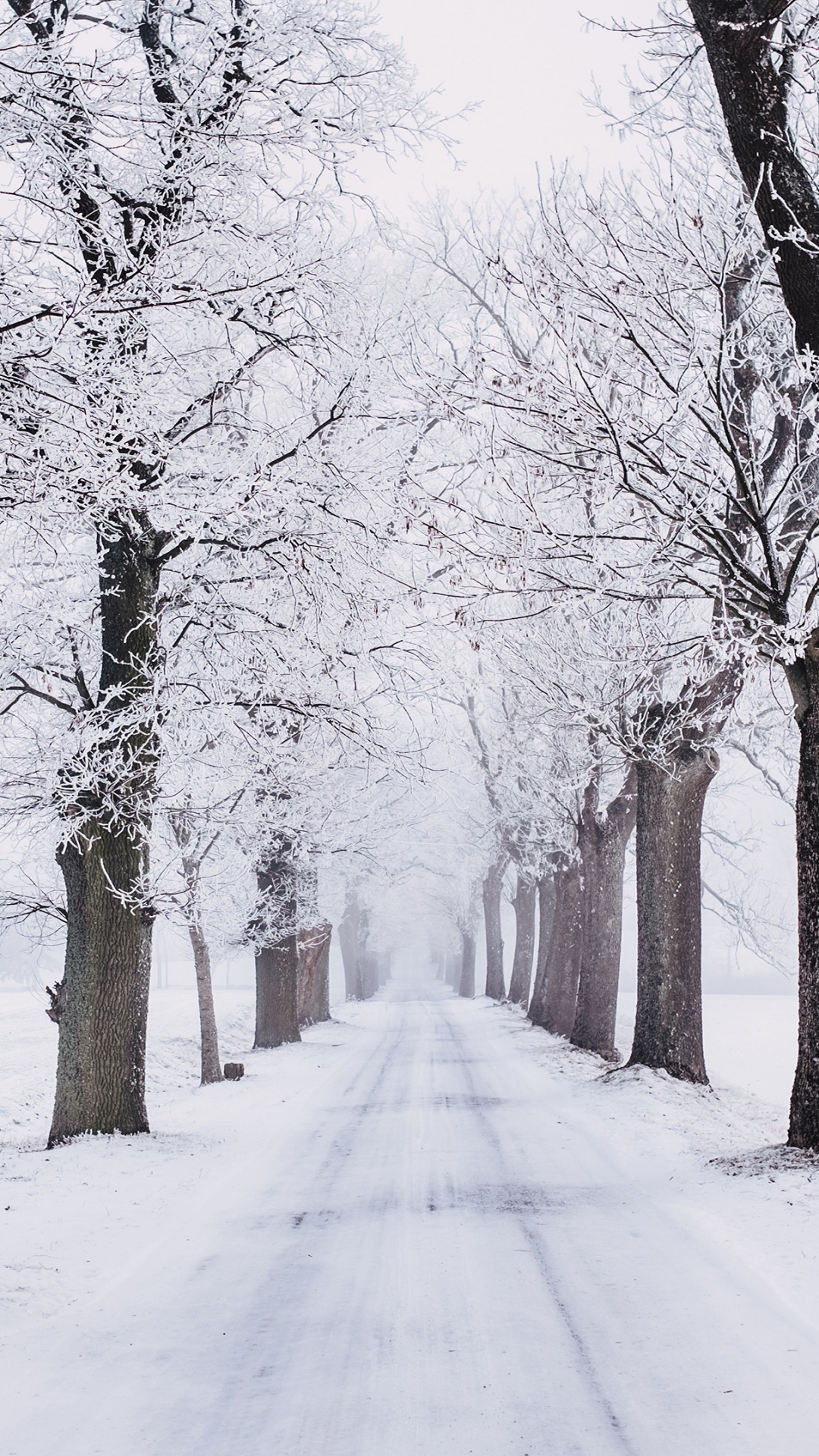 Download mobile wallpaper Winter, Snow, Road, Tree, Man Made for free.