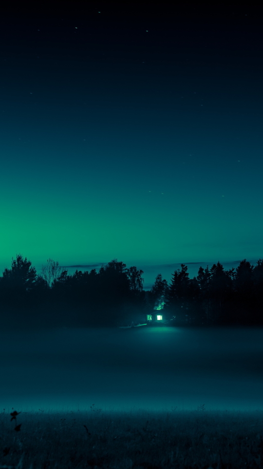 Descarga gratuita de fondo de pantalla para móvil de Niebla, Tierra/naturaleza.