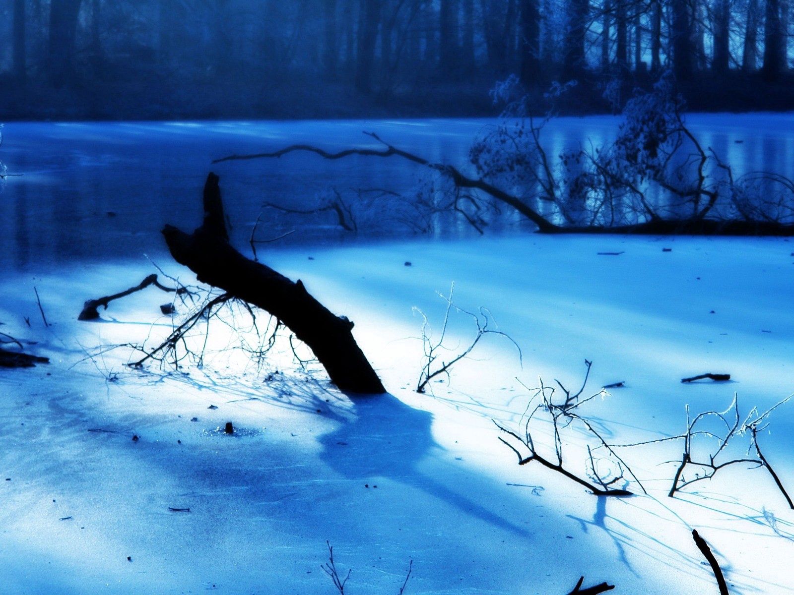 Free download wallpaper Nature, Lake, Wood, Morning, Frost, Tree on your PC desktop