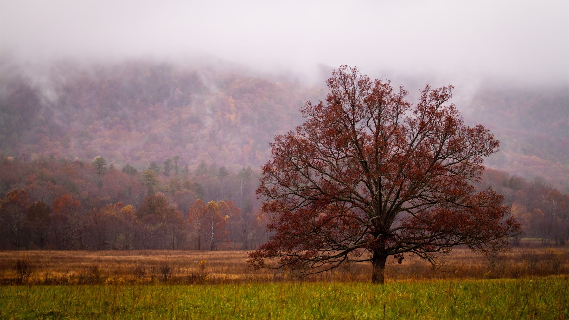 Free download wallpaper Fall, Earth on your PC desktop