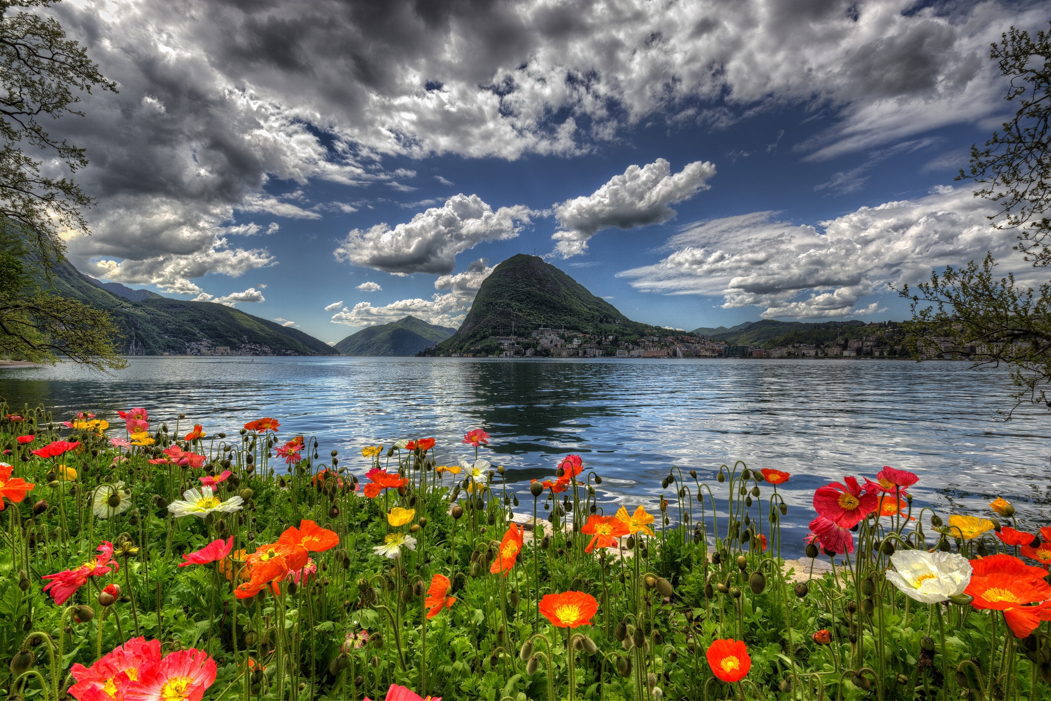 Скачать обои бесплатно Пейзаж, Гора, Озеро, Цветок, Швейцария, Фотографии картинка на рабочий стол ПК