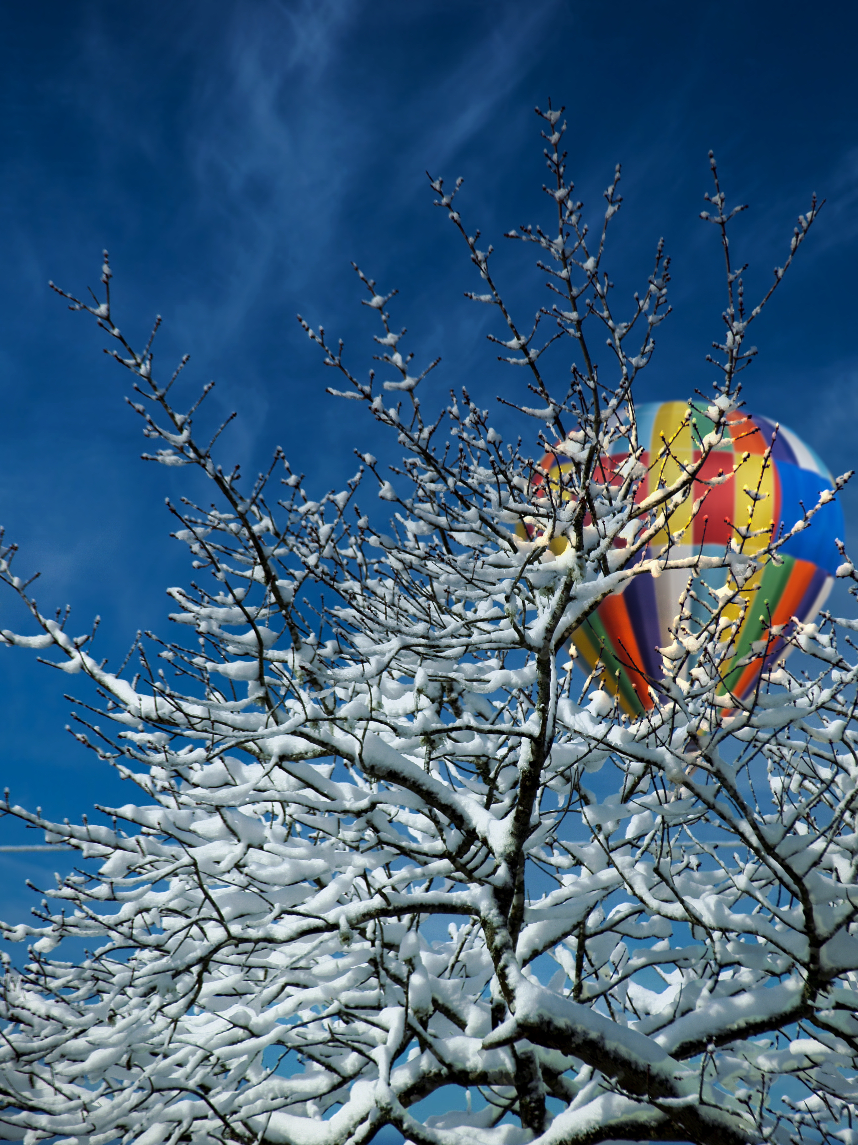 Free download wallpaper Winter, Snow, Wood, Tree, Balloon, Nature on your PC desktop