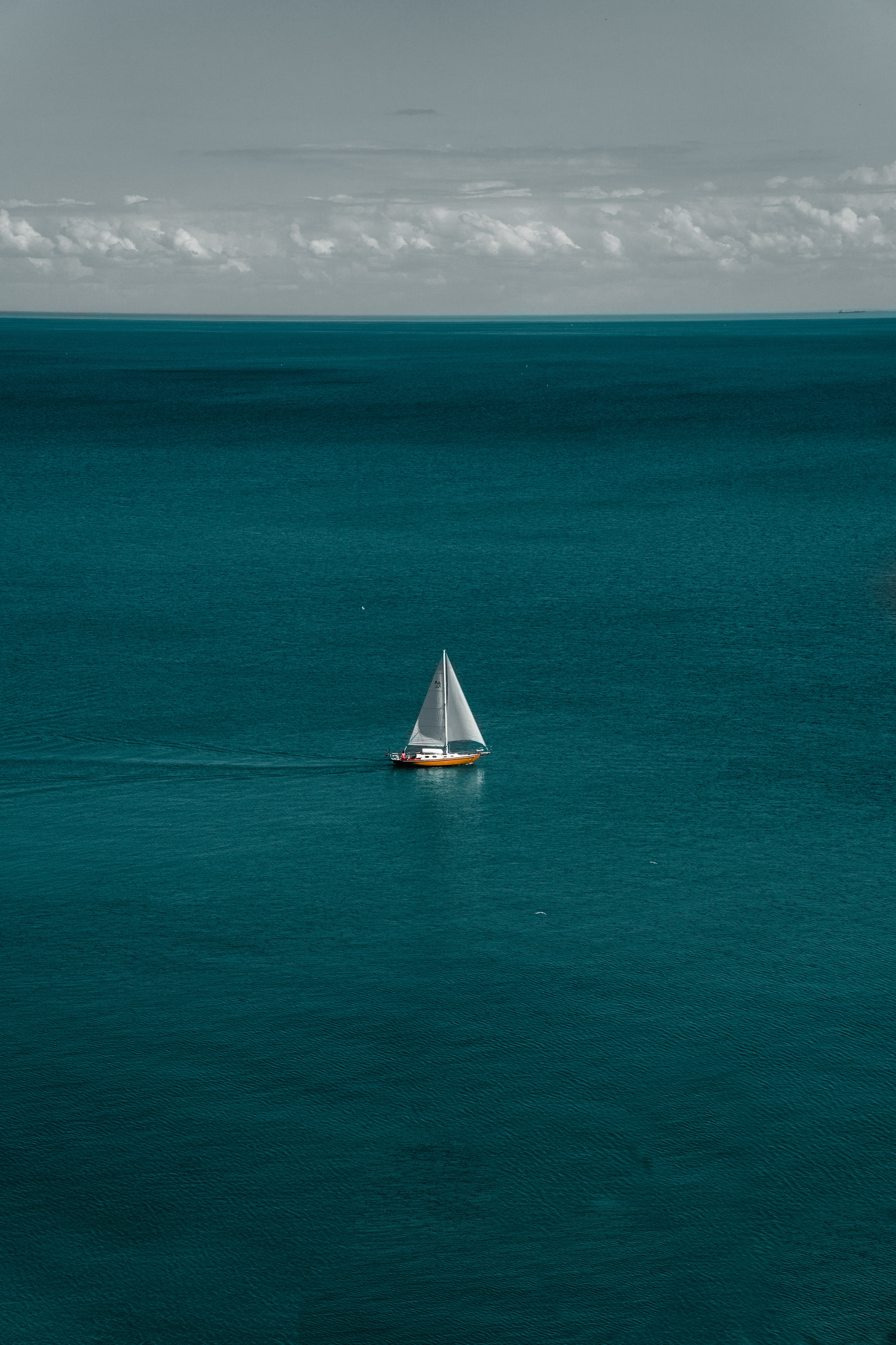 123797 baixar papel de parede mar, barco a vela, barco, água, horizonte, minimalismo, um barco, sailfish - protetores de tela e imagens gratuitamente