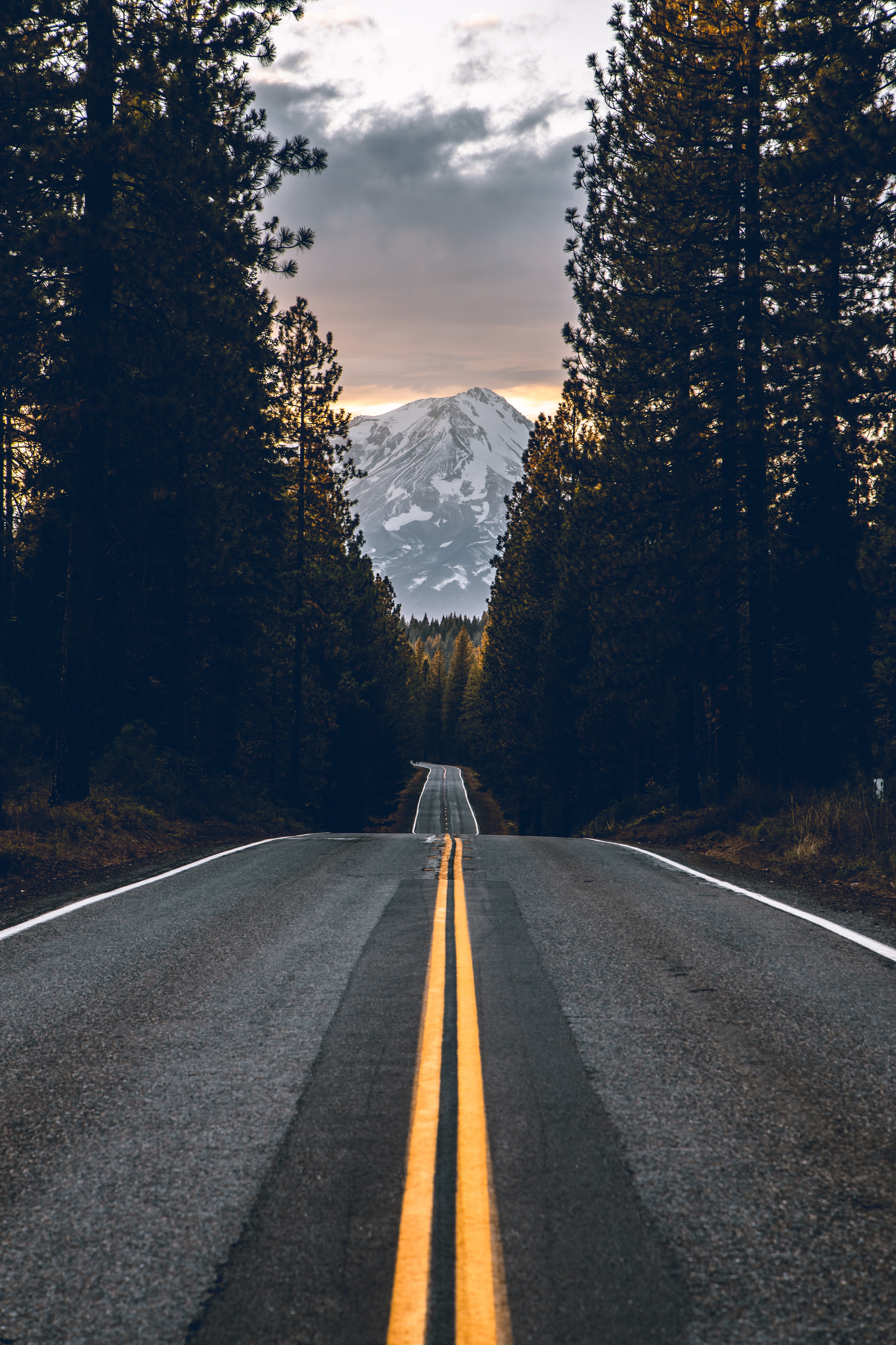 road, nature, trees, mountain, vertex, top cellphone