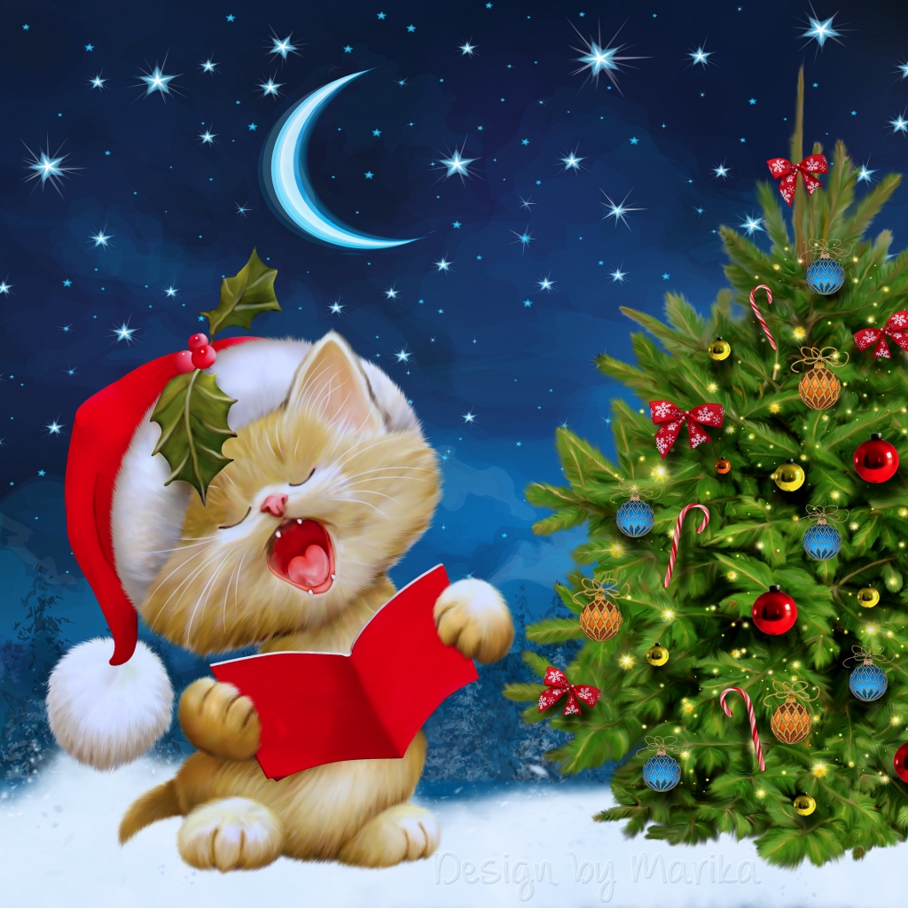Téléchargez des papiers peints mobile Noël, Chat, Vacances, Décorations De Noël, Sapin De Noël, Chapeau De Père Noël gratuitement.