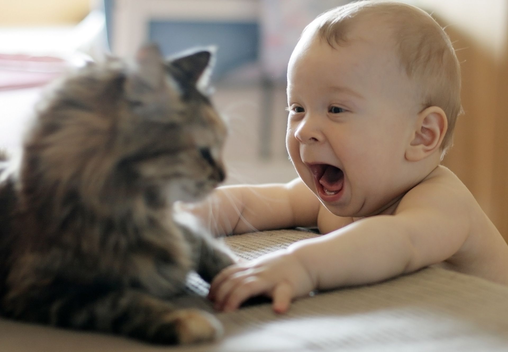 Laden Sie das Fotografie, Baby-Bild kostenlos auf Ihren PC-Desktop herunter