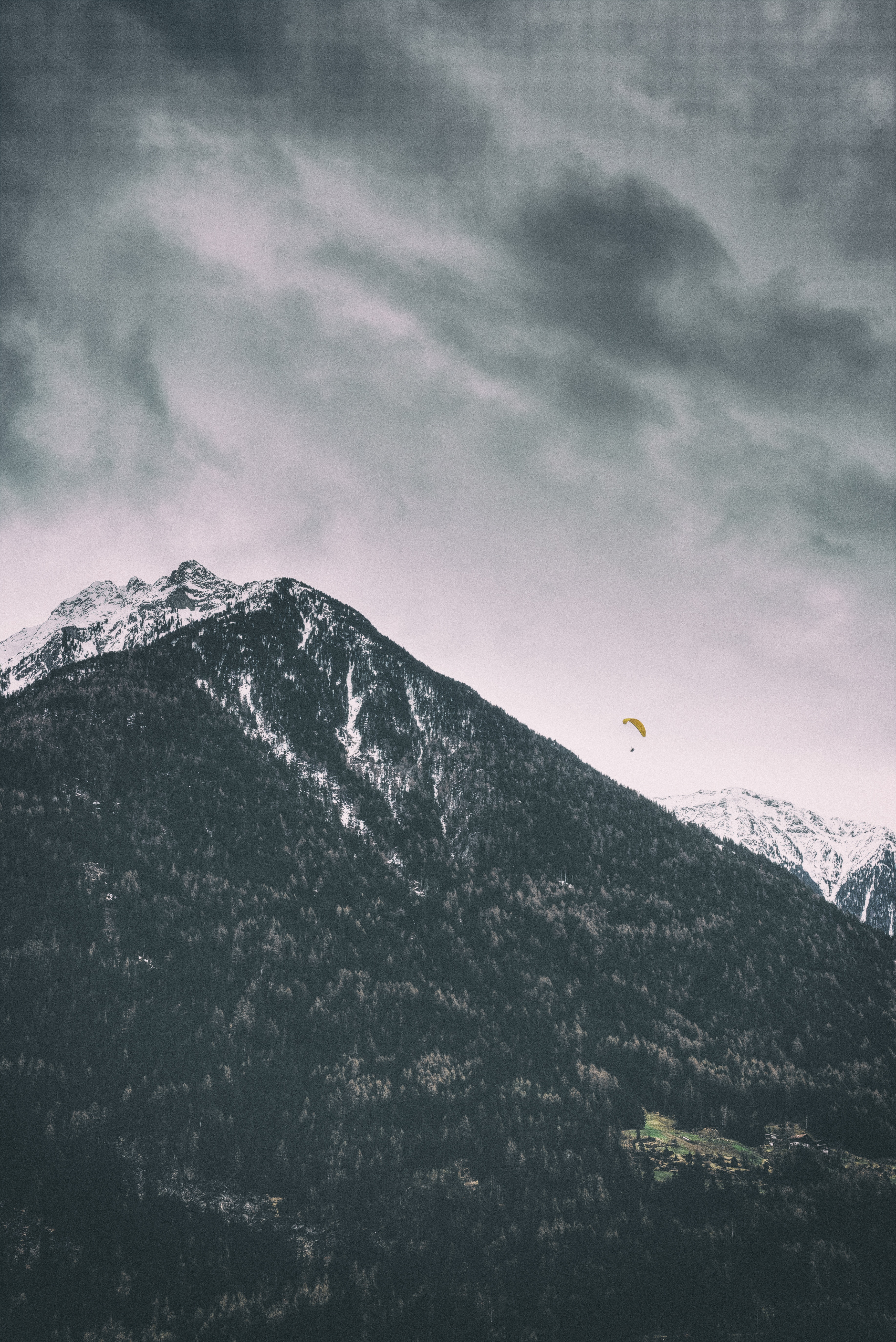nature, paragliding, trees, mountains, vertex, top, snow covered, paraglider, snowy