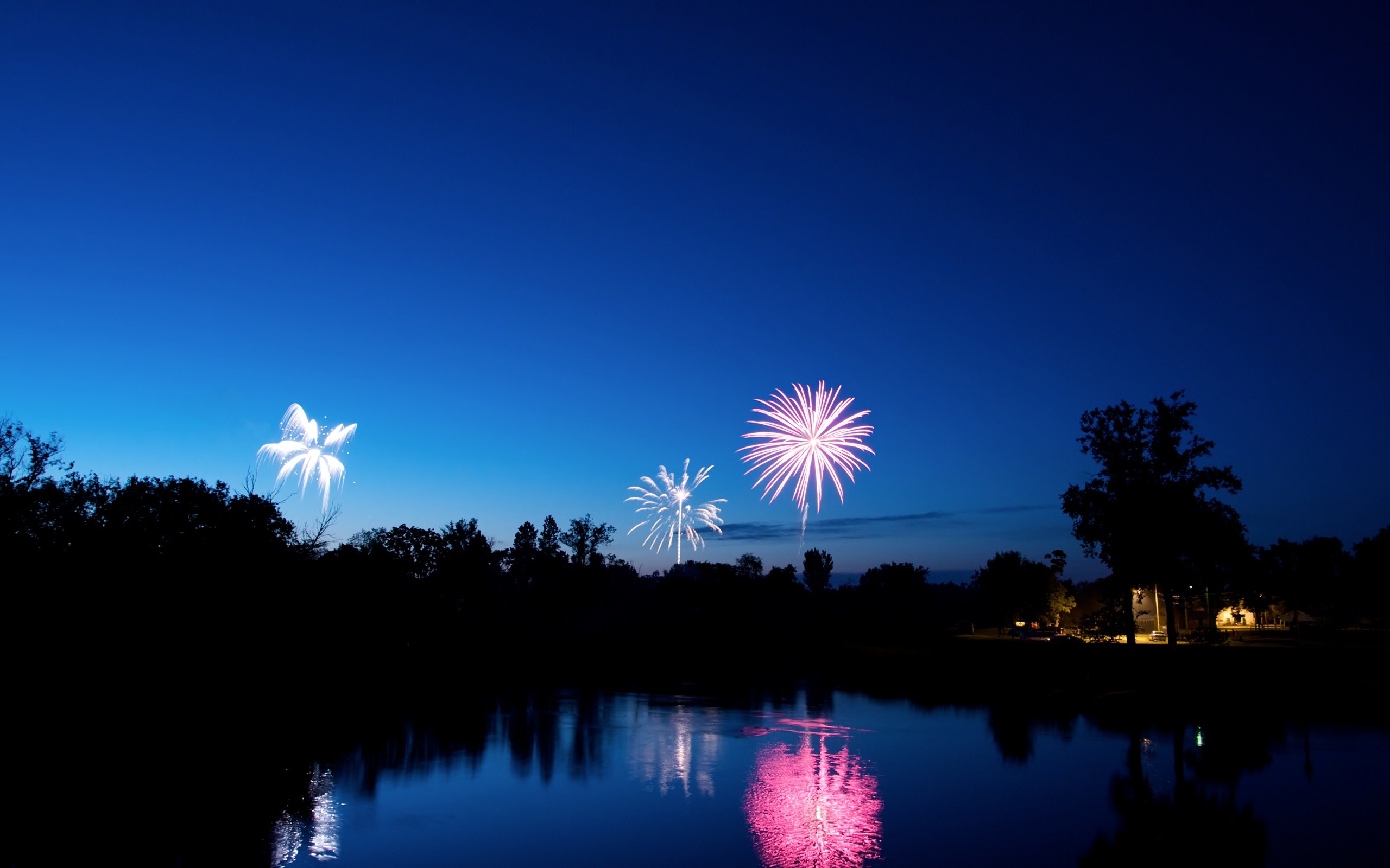 Laden Sie das Feuerwerk, Fotografie, Nacht-Bild kostenlos auf Ihren PC-Desktop herunter