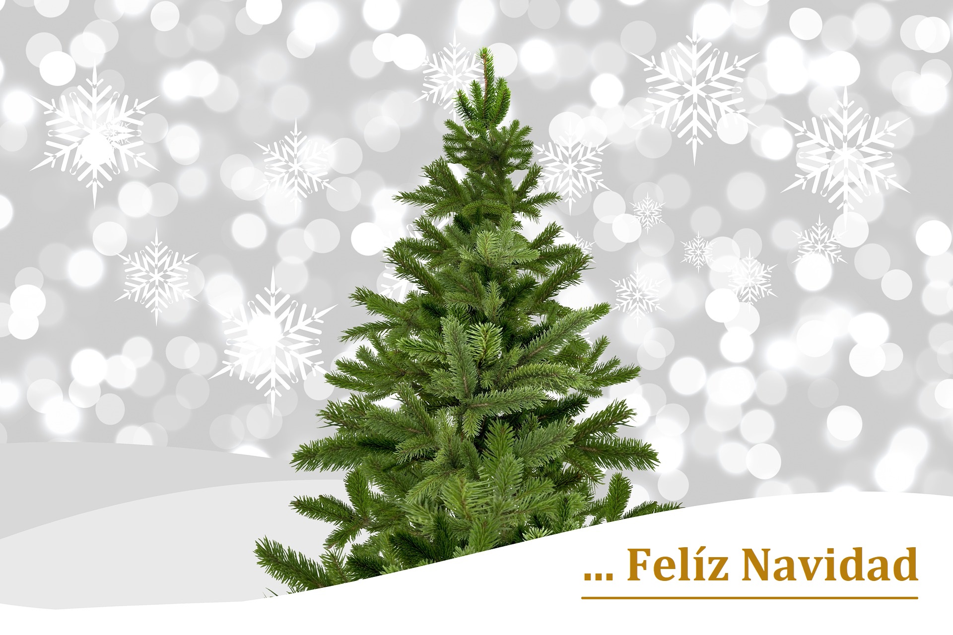 Baixar papel de parede para celular de Natal, Luzes, Árvore De Natal, Floco De Neve, Feriados, Feliz Natal gratuito.