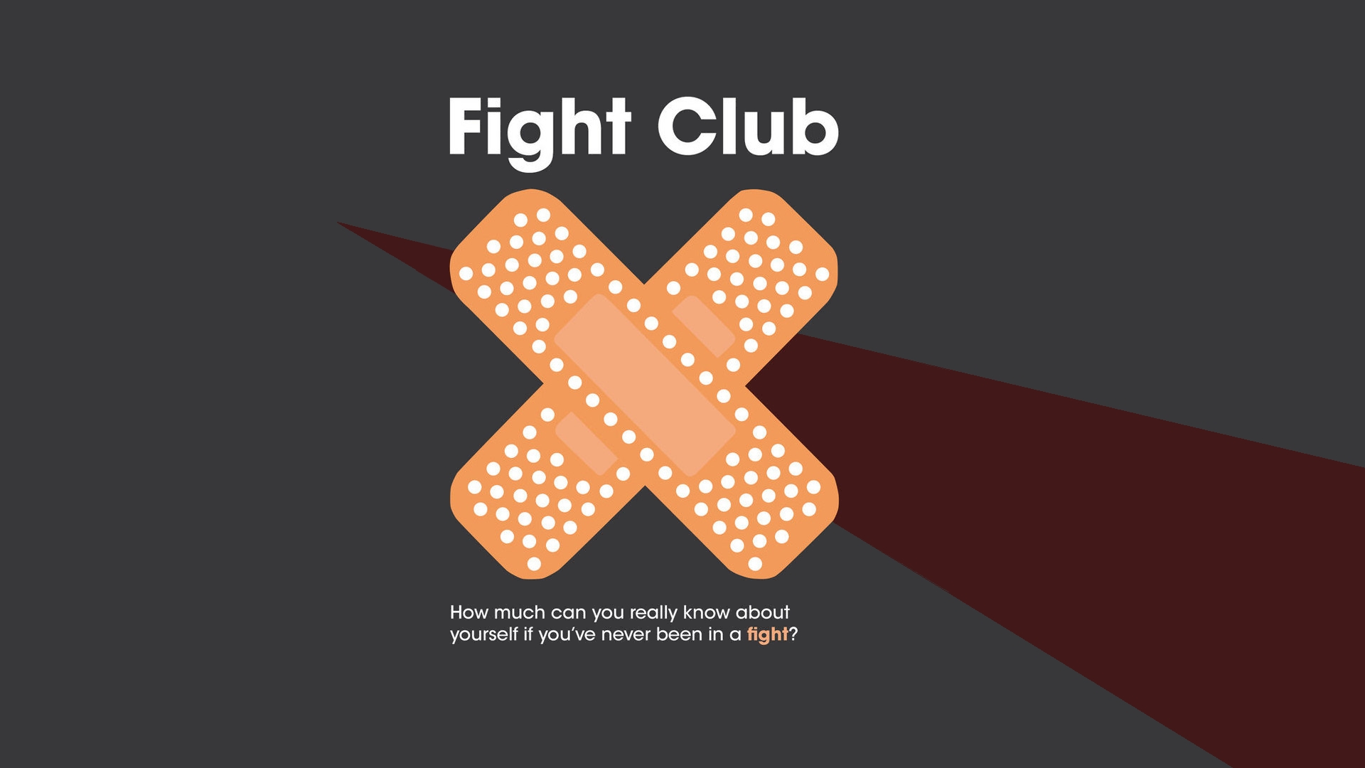 Panoramic Wallpapers Fight Club 