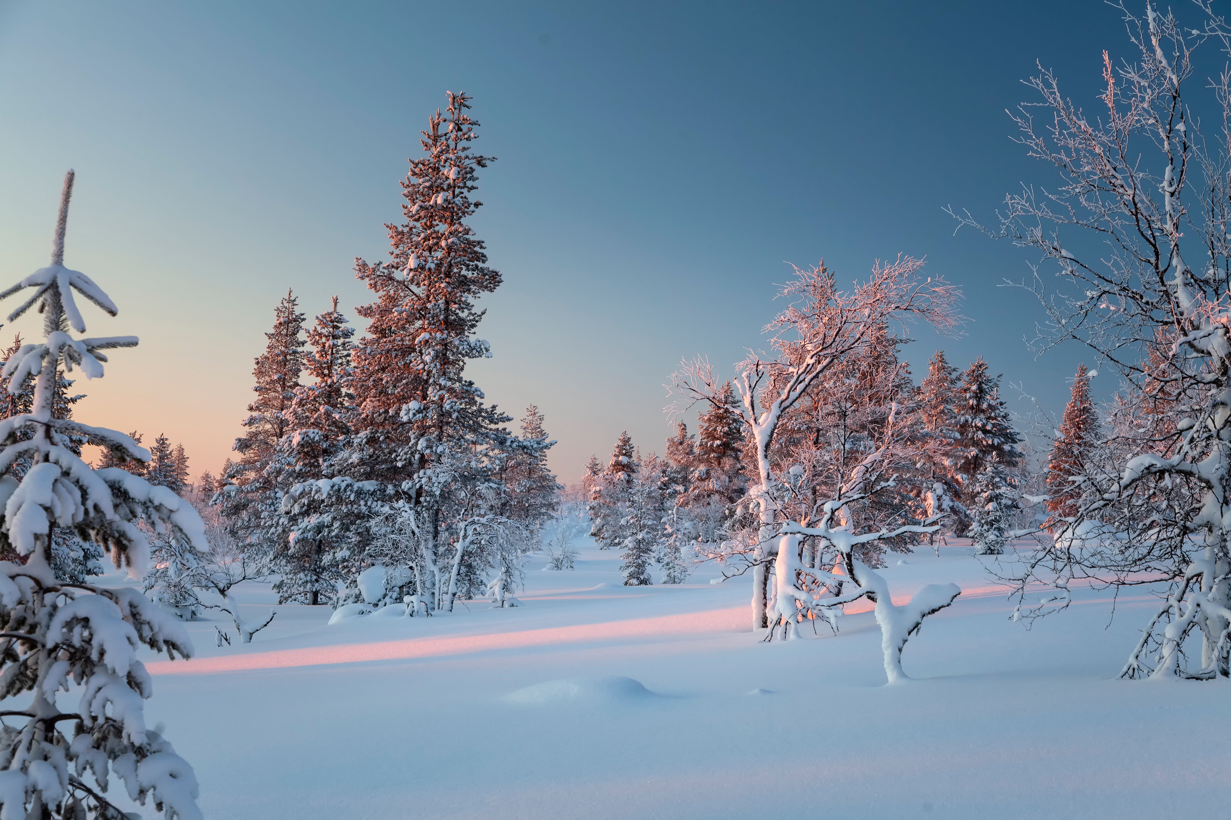 Download mobile wallpaper Winter, Snow, Earth, Finland for free.
